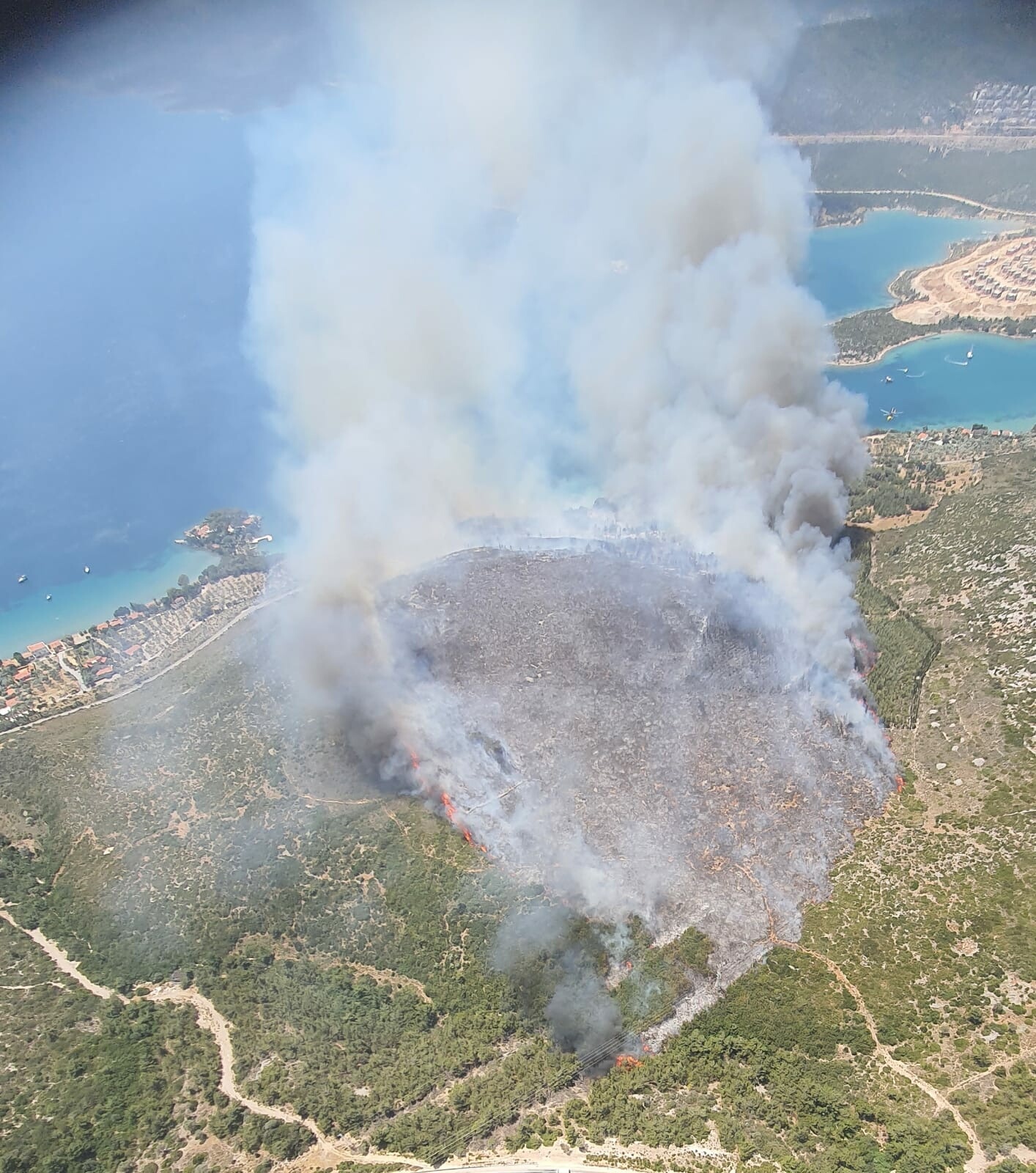 Karaburun'da orman yangını