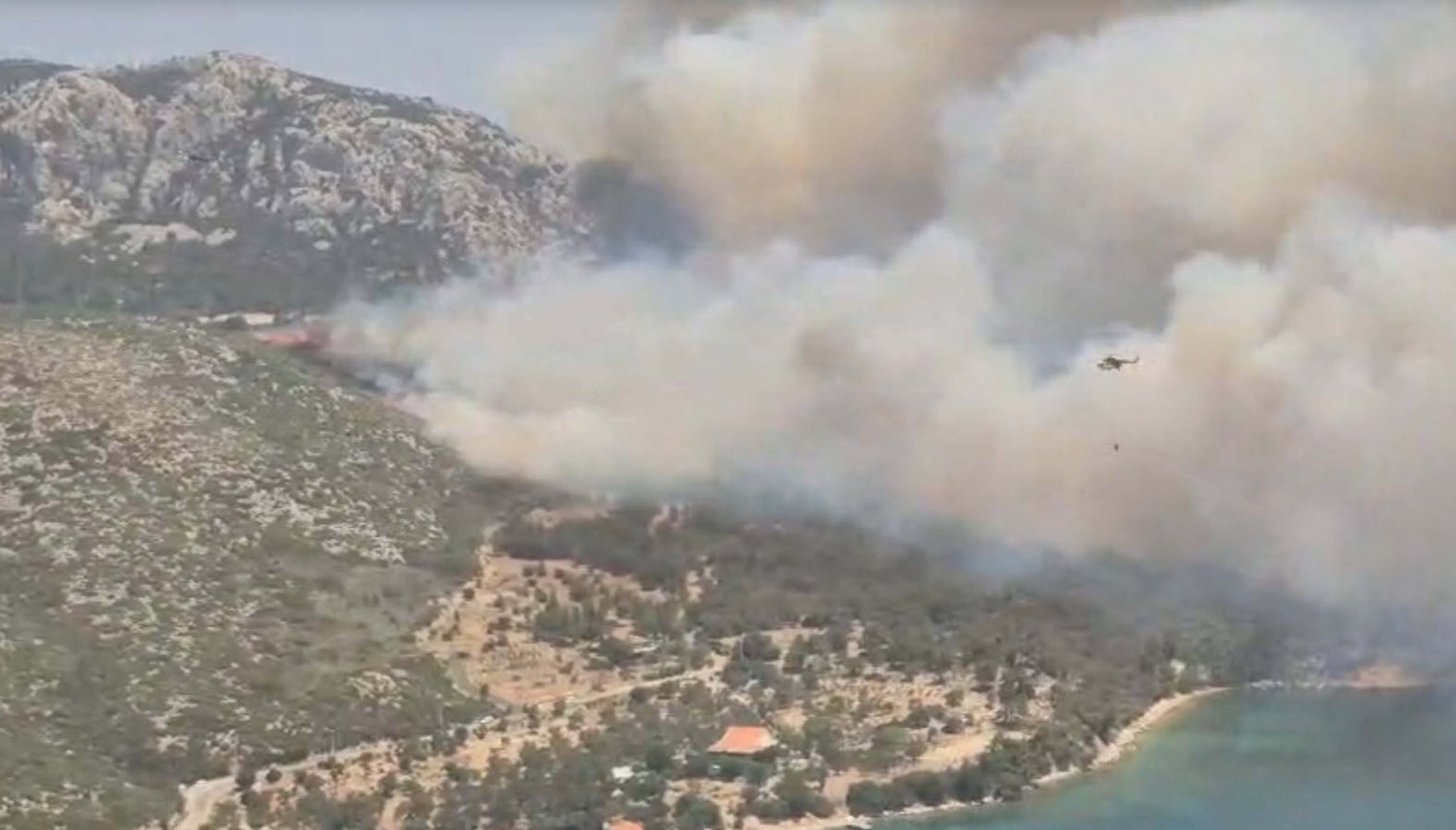 Karaburun'da orman yangını