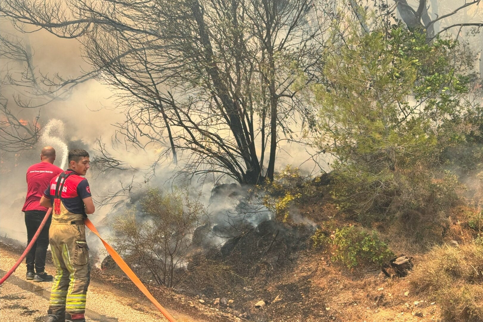 Karaburun'da orman yangını