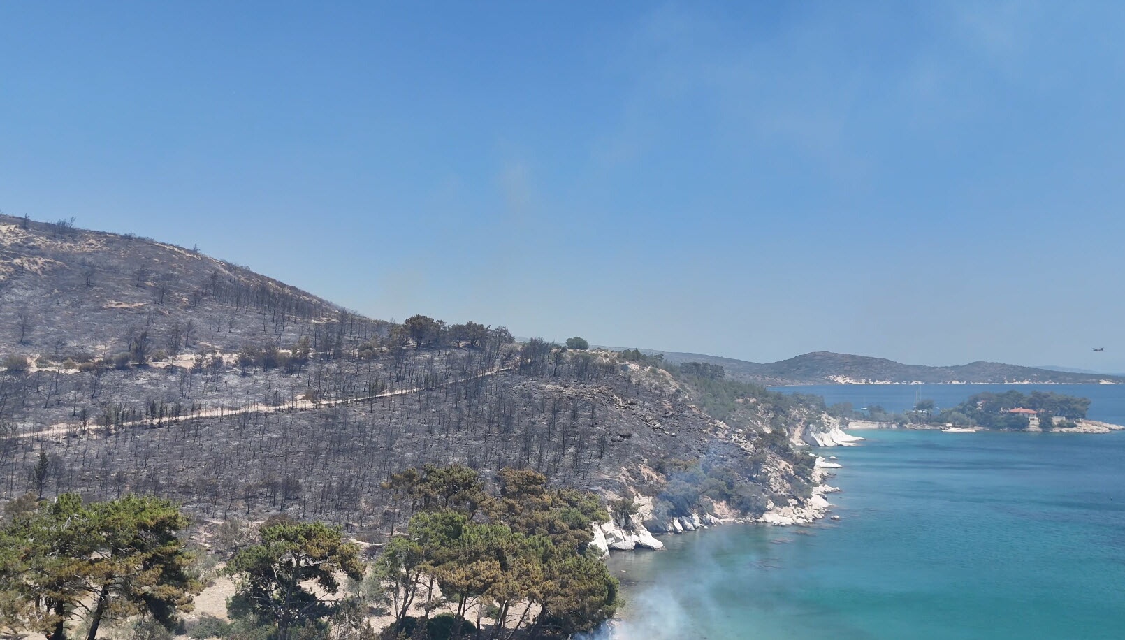 Karaburun'da orman yangını