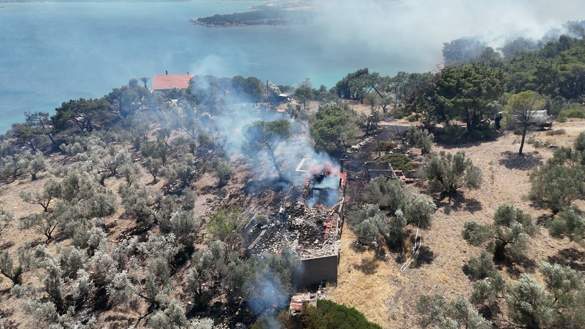 Karaburun'da orman yangını