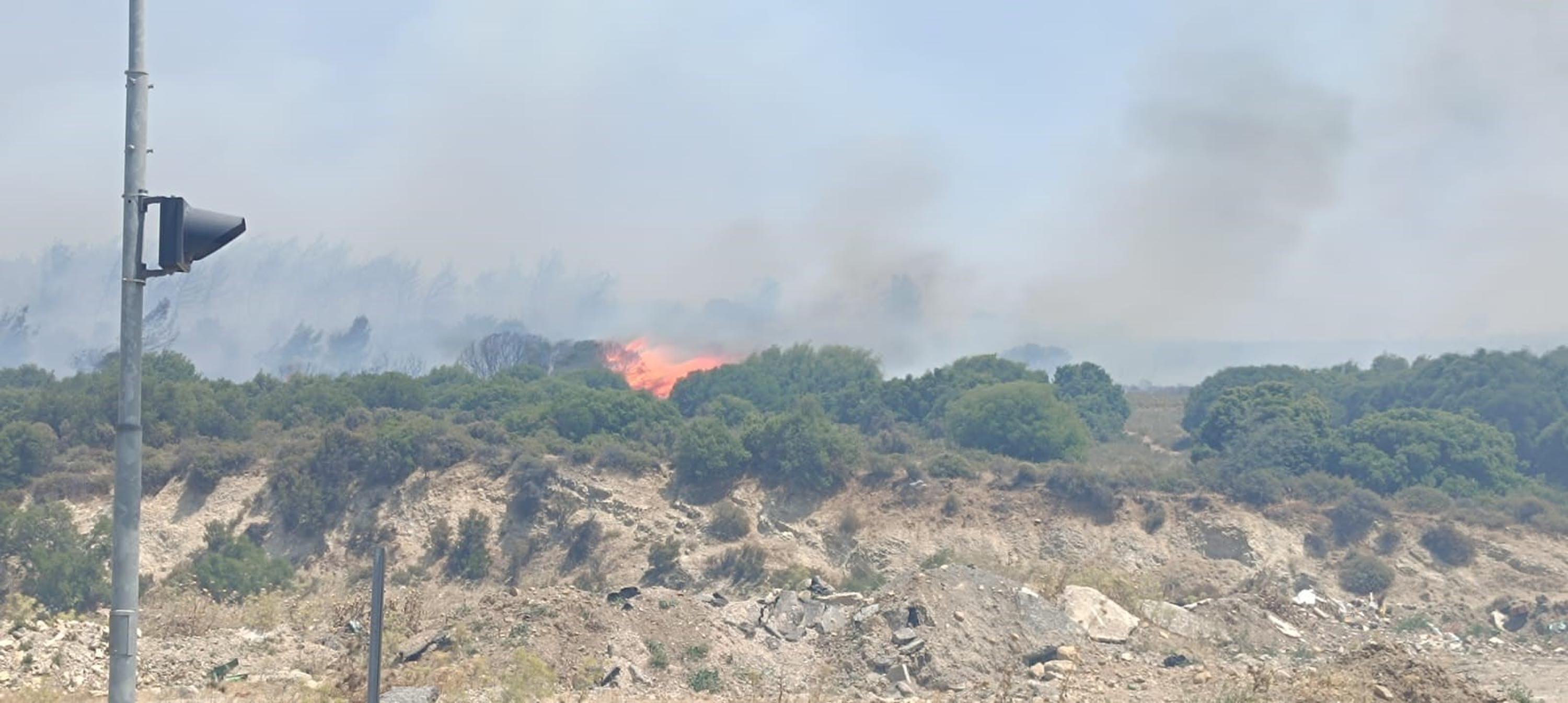 İzmir'de orman yangını