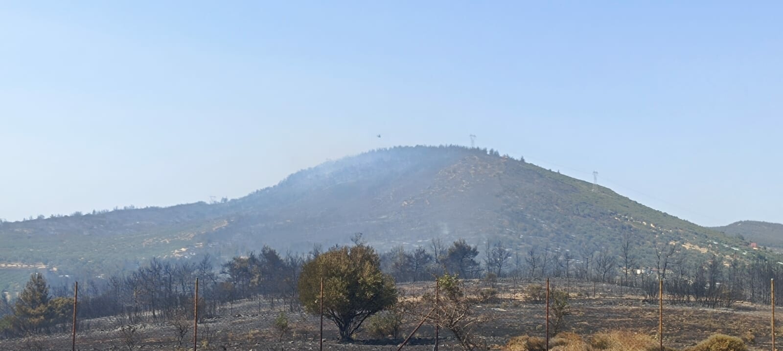 İzmir'de orman yangını