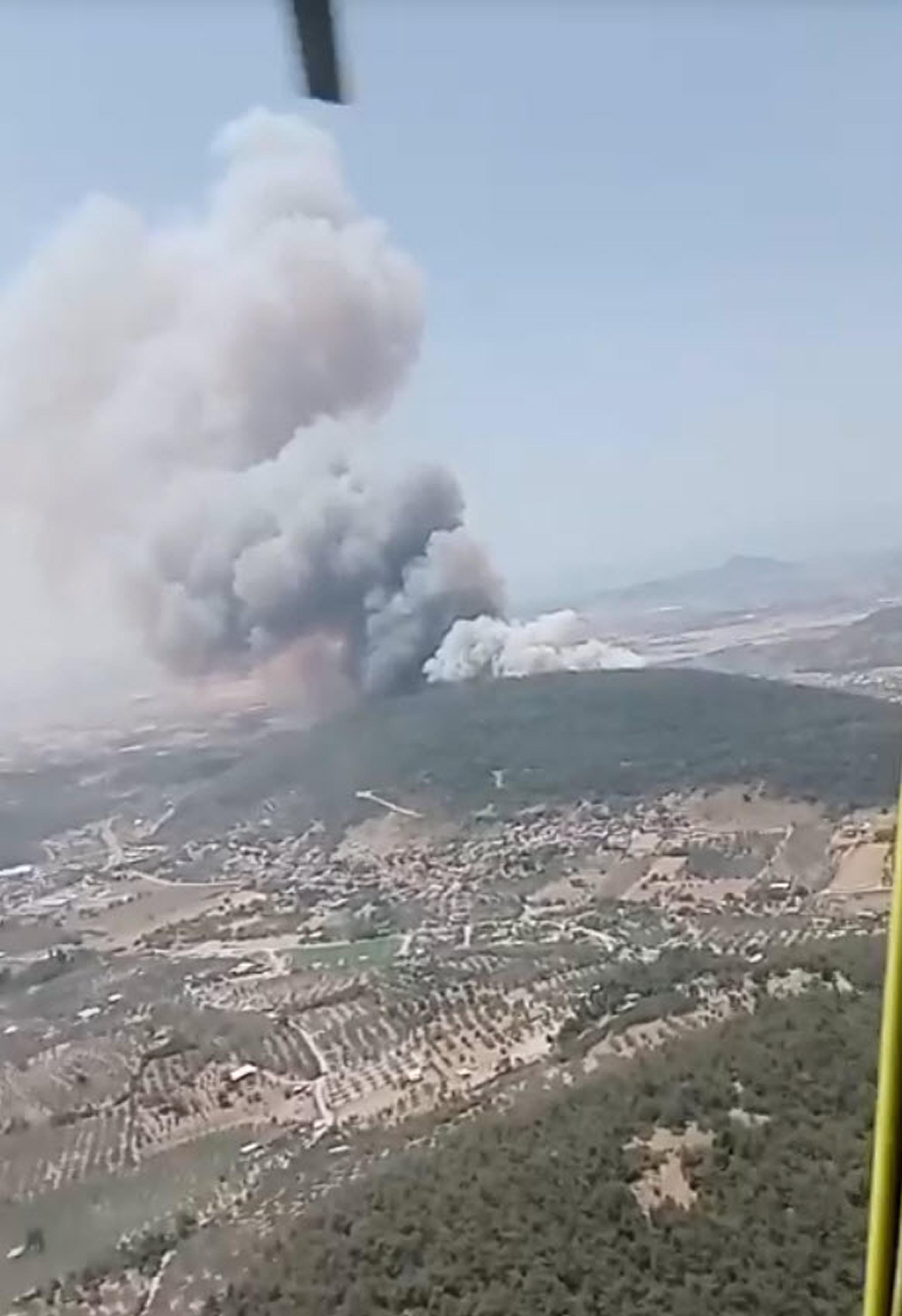 İzmir'de orman yangını