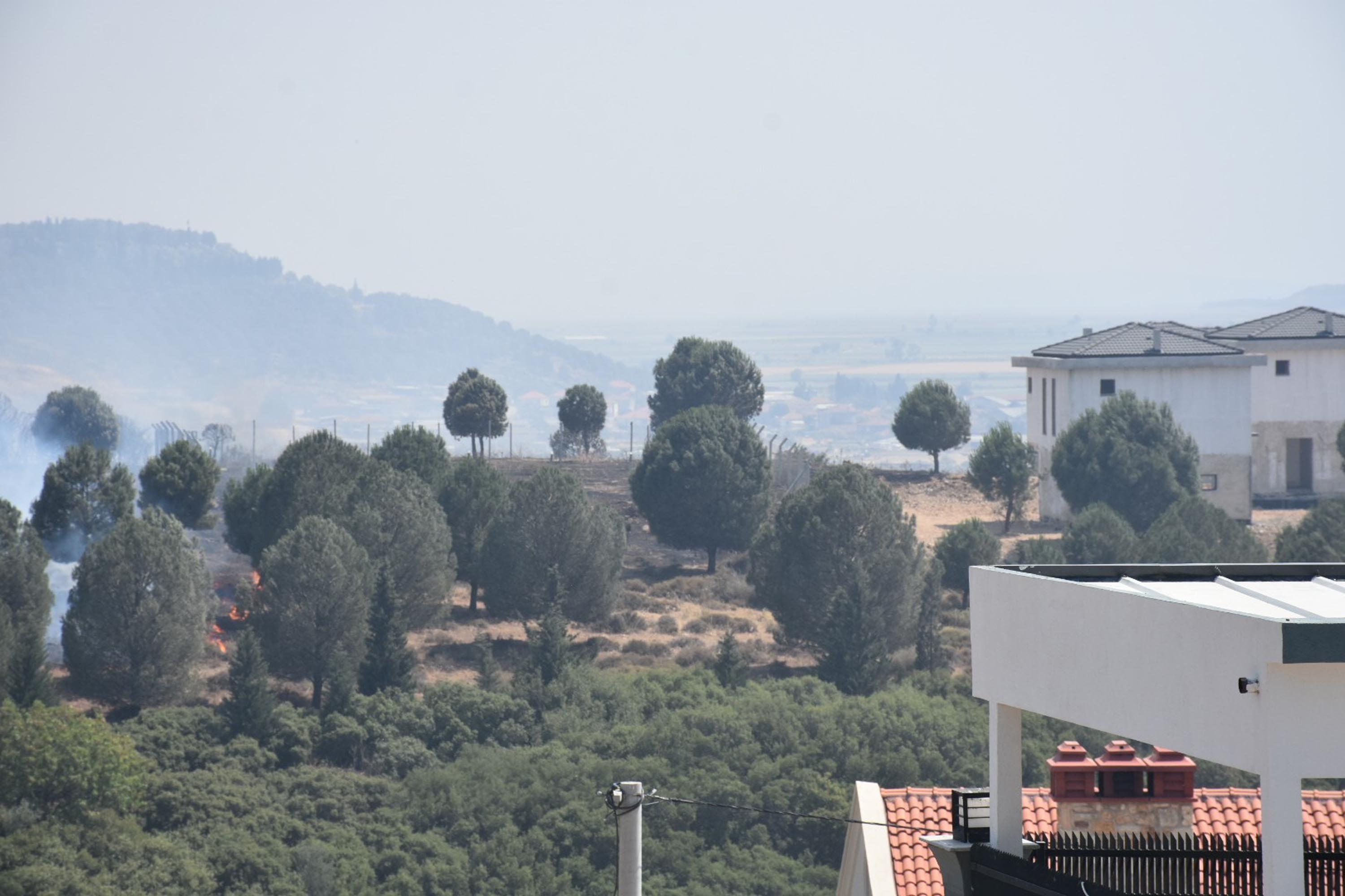 İzmir'de orman yangını