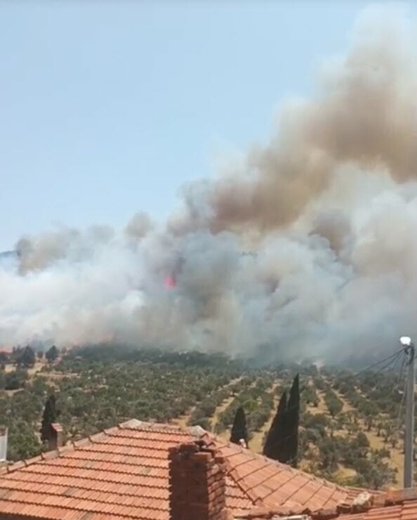 İzmir'de orman yangını