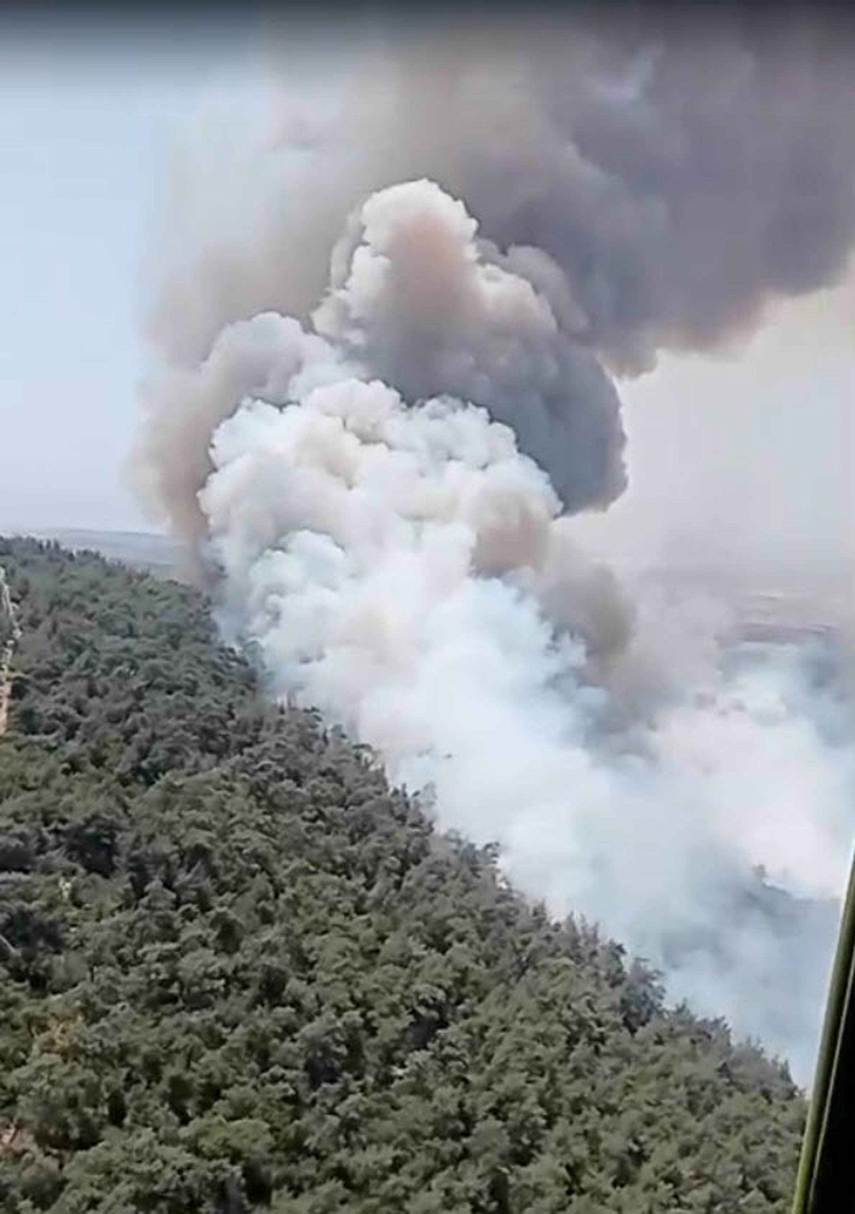 İzmir'de orman yangını
