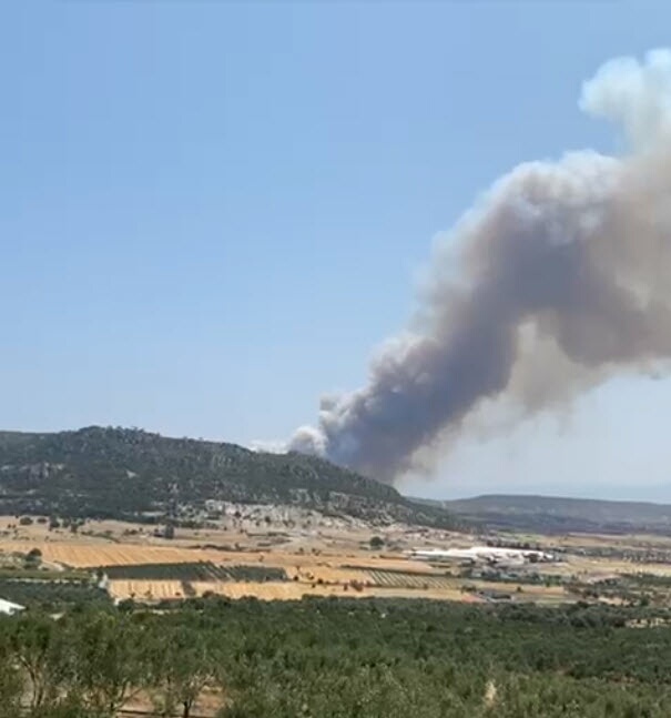 İzmir'de orman yangını
