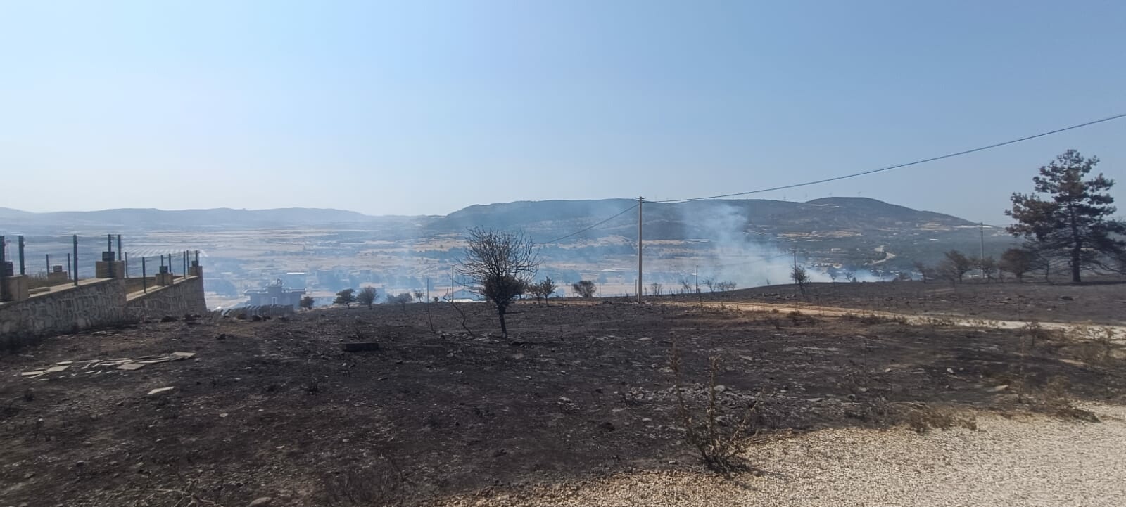 İzmir'de orman yangını