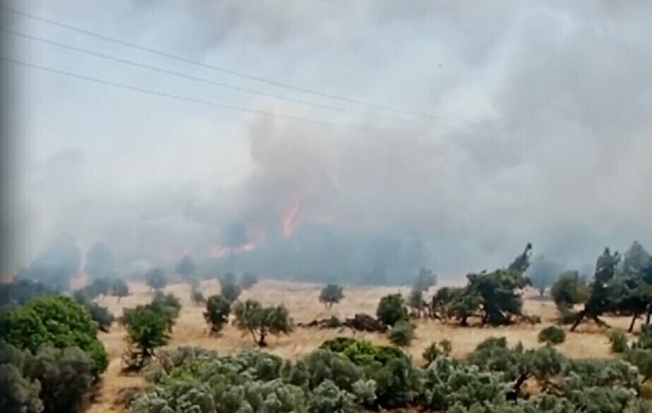 İzmir'de orman yangını