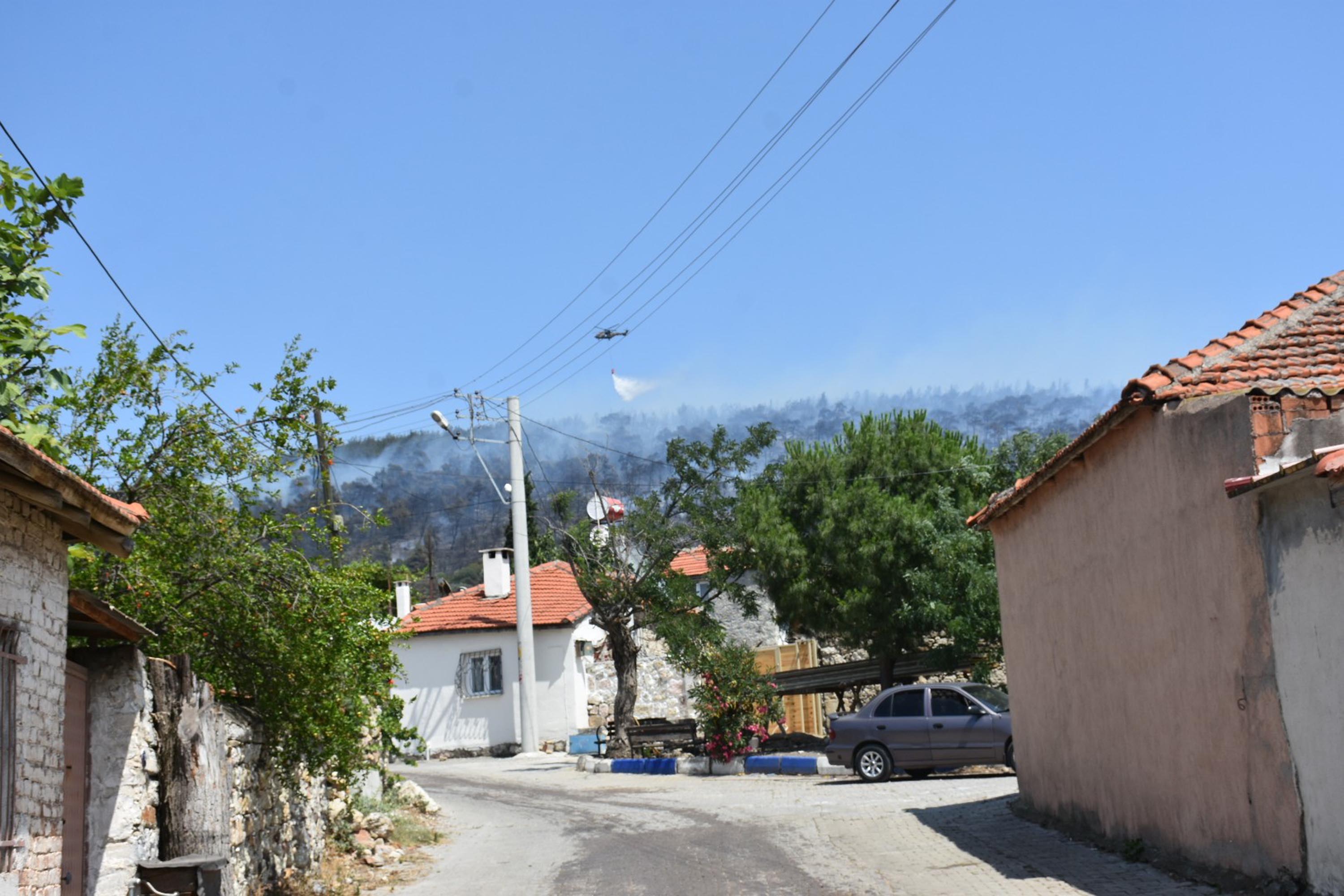İzmir'de orman yangını