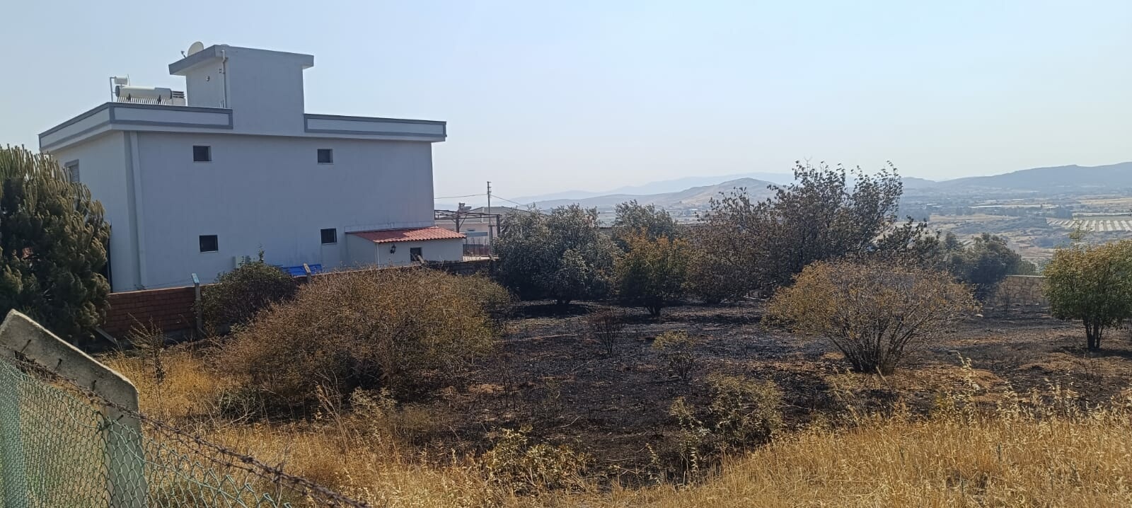 İzmir'de orman yangını