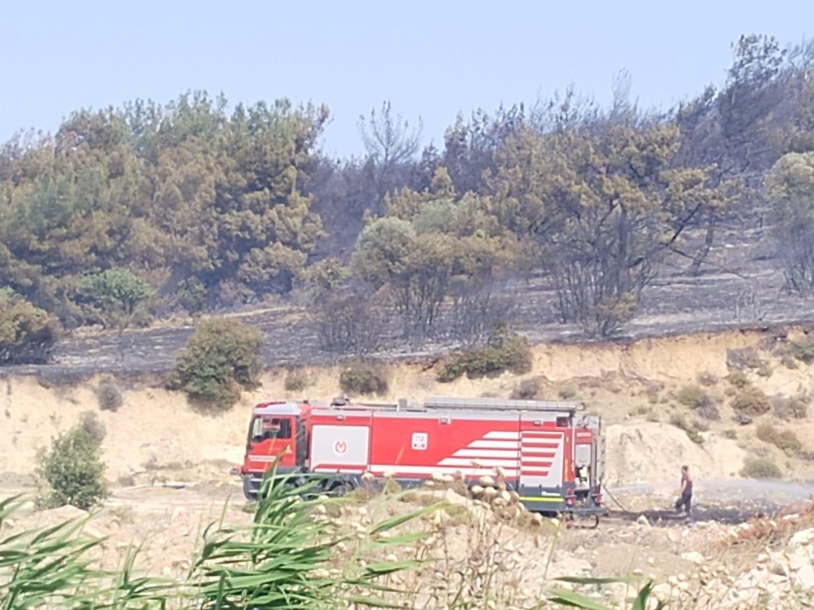 Foça'daki yangın bölgesinden yeni görüntüler!
