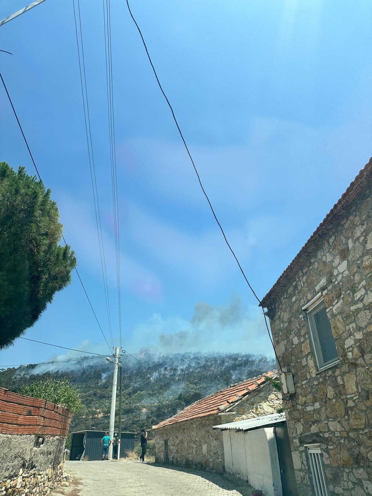 Foça'daki yangın bölgesinden yeni görüntüler!