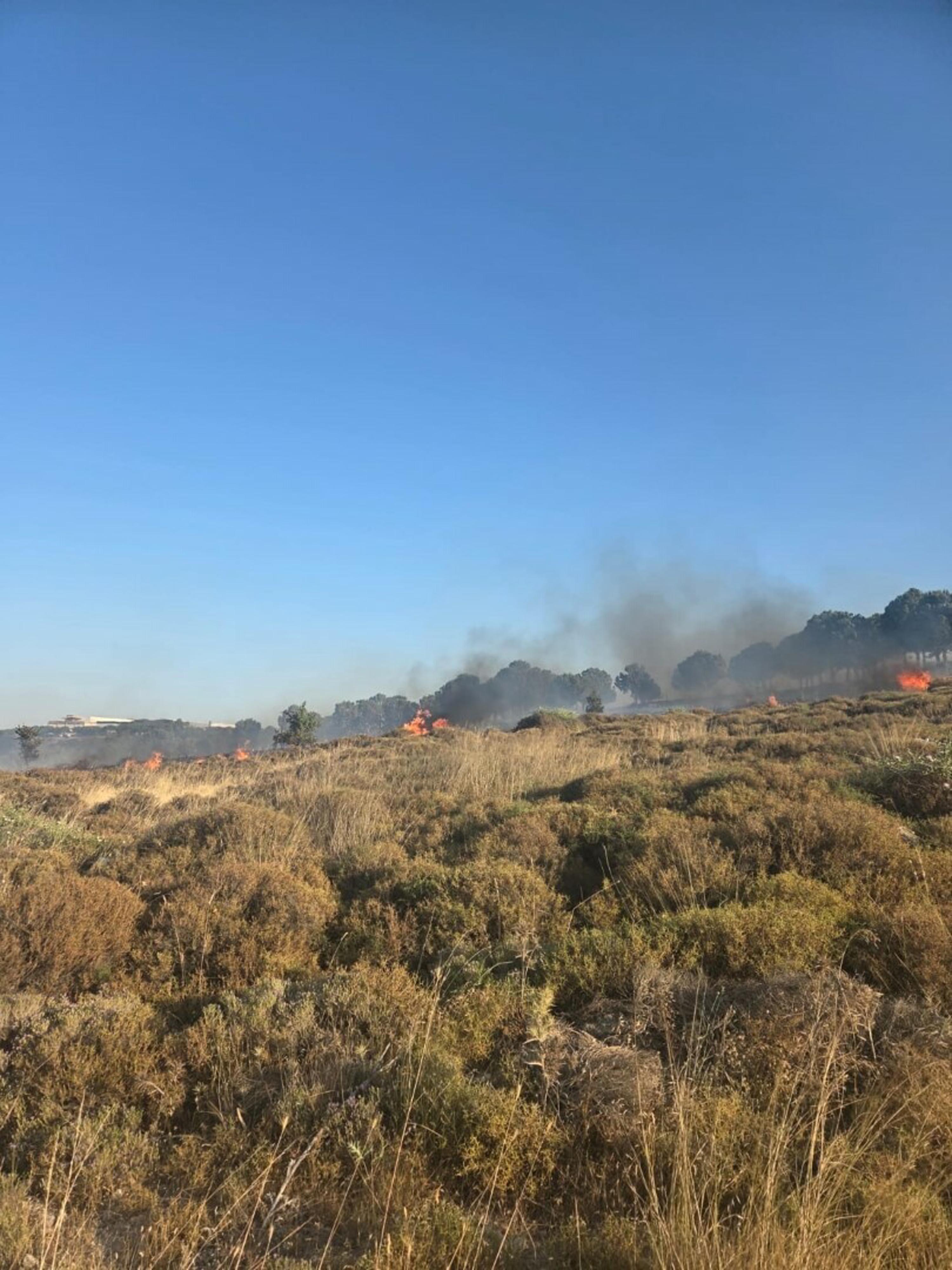 İzmir'de çıkan otluk yangını rüzgarla şiddetini artırdı