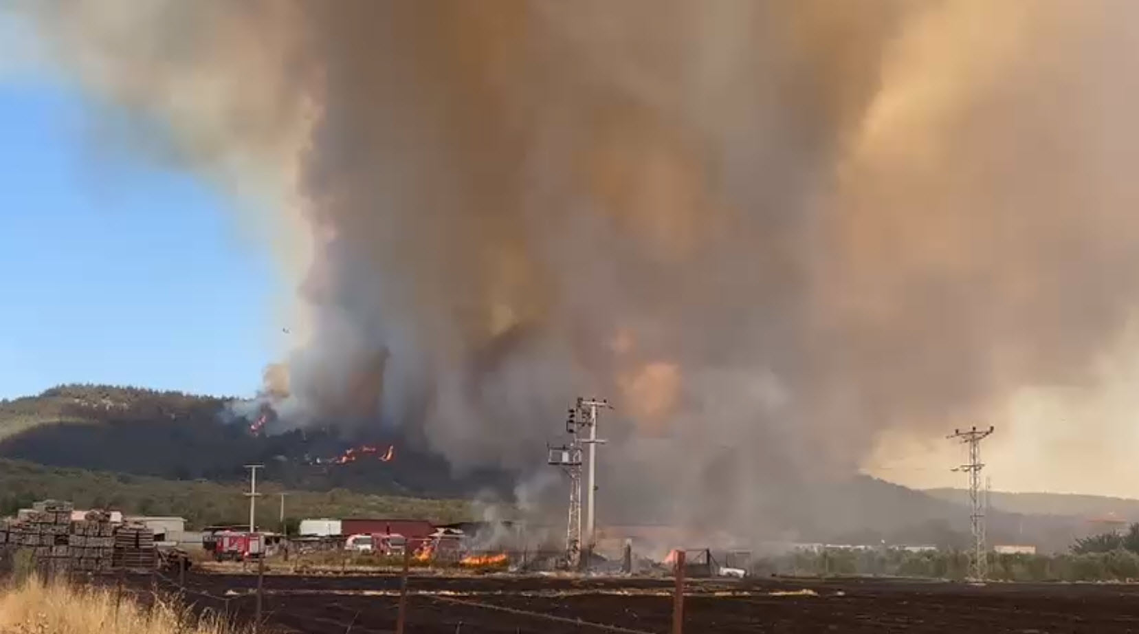İzmir Aliağa'da orman yangını