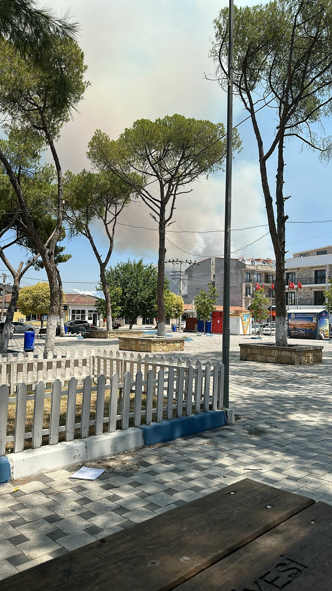 İzmir Aliağa'da orman yangını