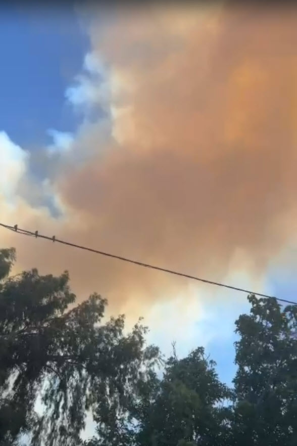 İzmir Aliağa'da orman yangını