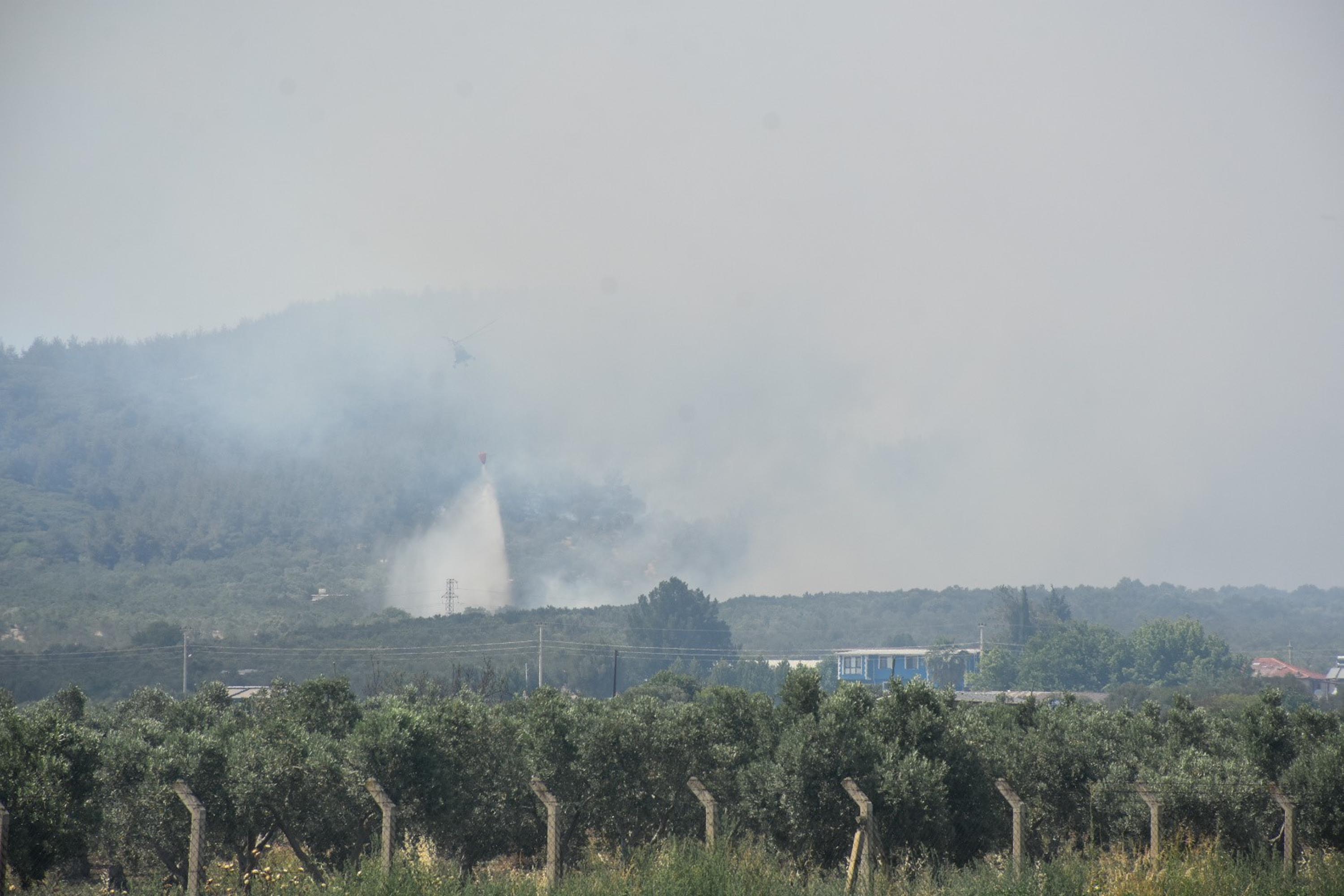İzmir Aliağa'da orman yangını