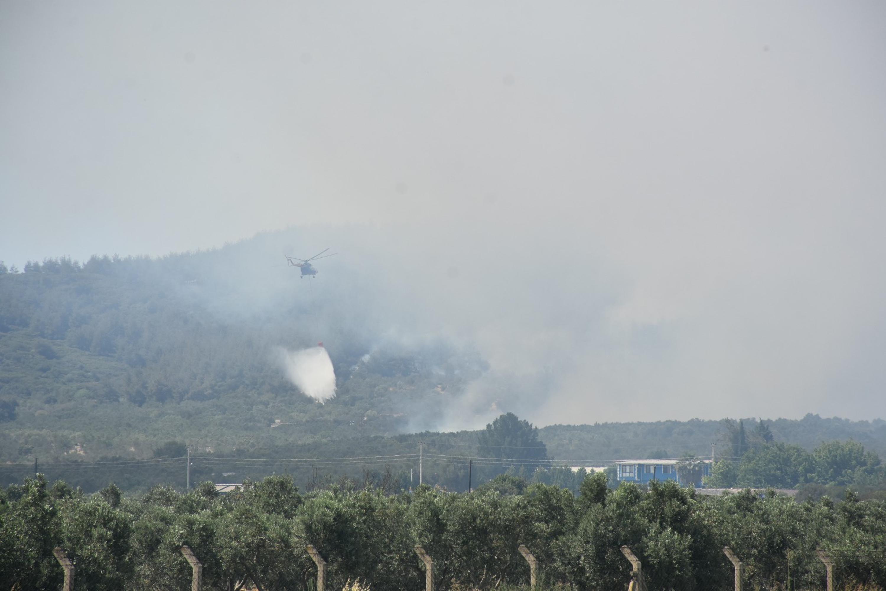 İzmir Aliağa'da orman yangını