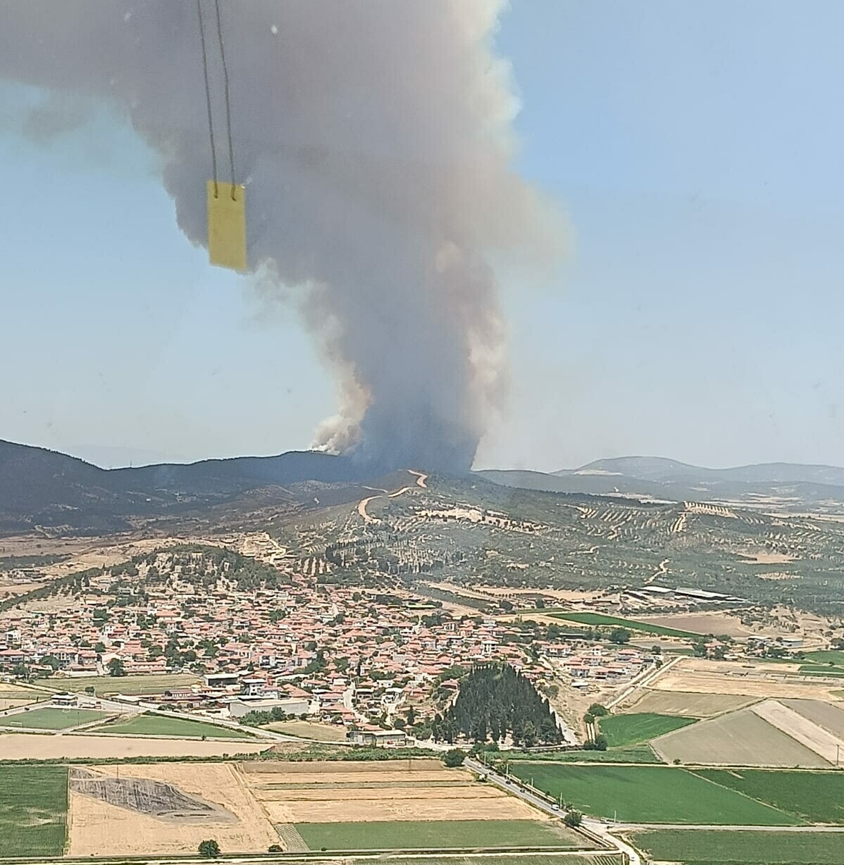 İzmir Aliağa'da orman yangını