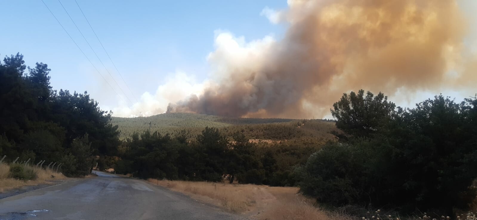 İzmir Aliağa'da orman yangını