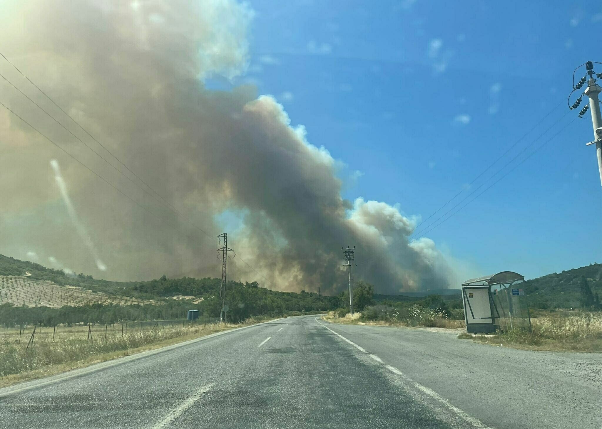 İzmir Aliağa'da orman yangını