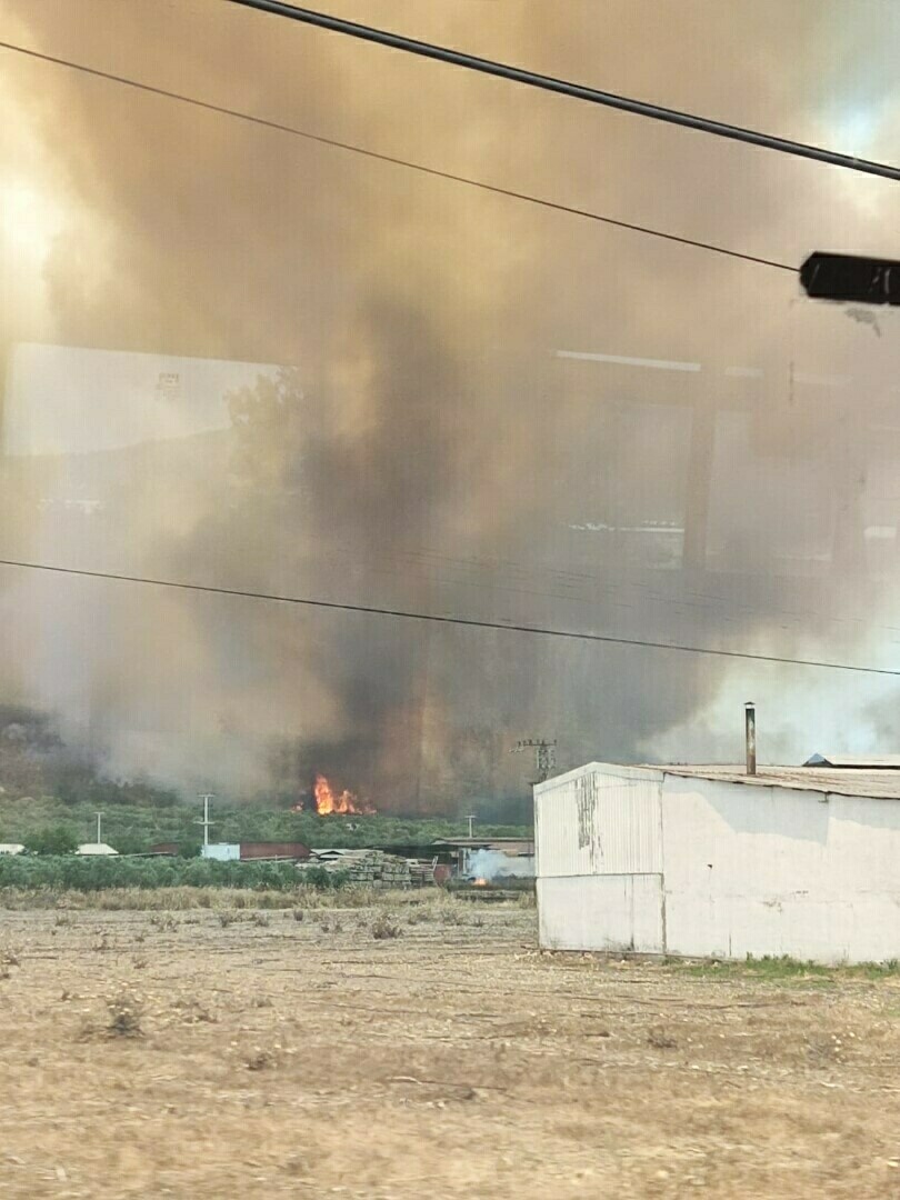 İzmir Aliağa'da orman yangını