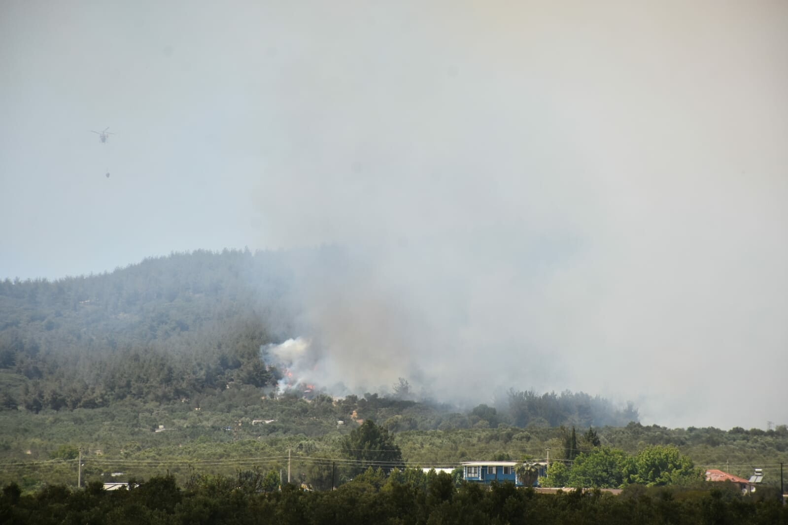 İzmir Aliağa'da orman yangını