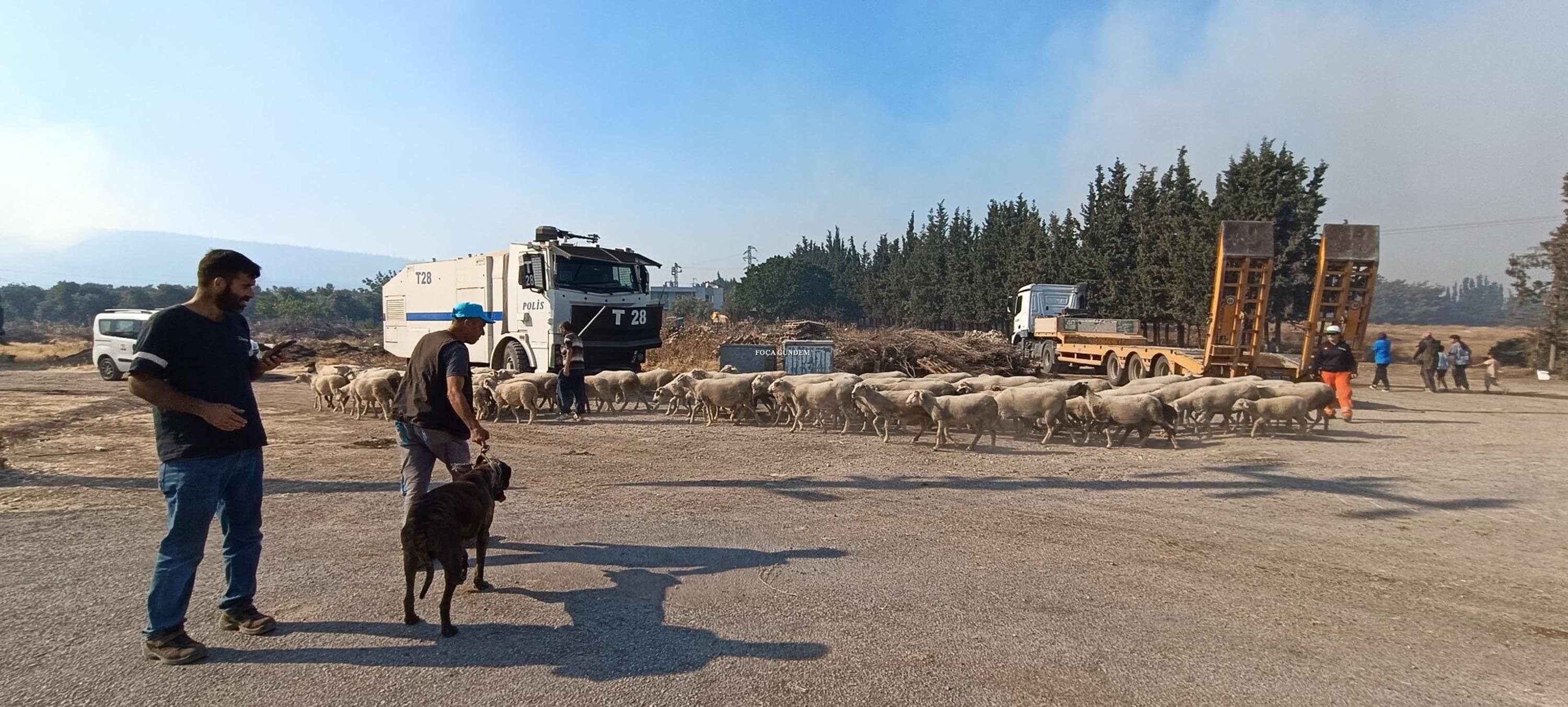 Aliağa ve Foça’da yangınla mücadele sürüyor
