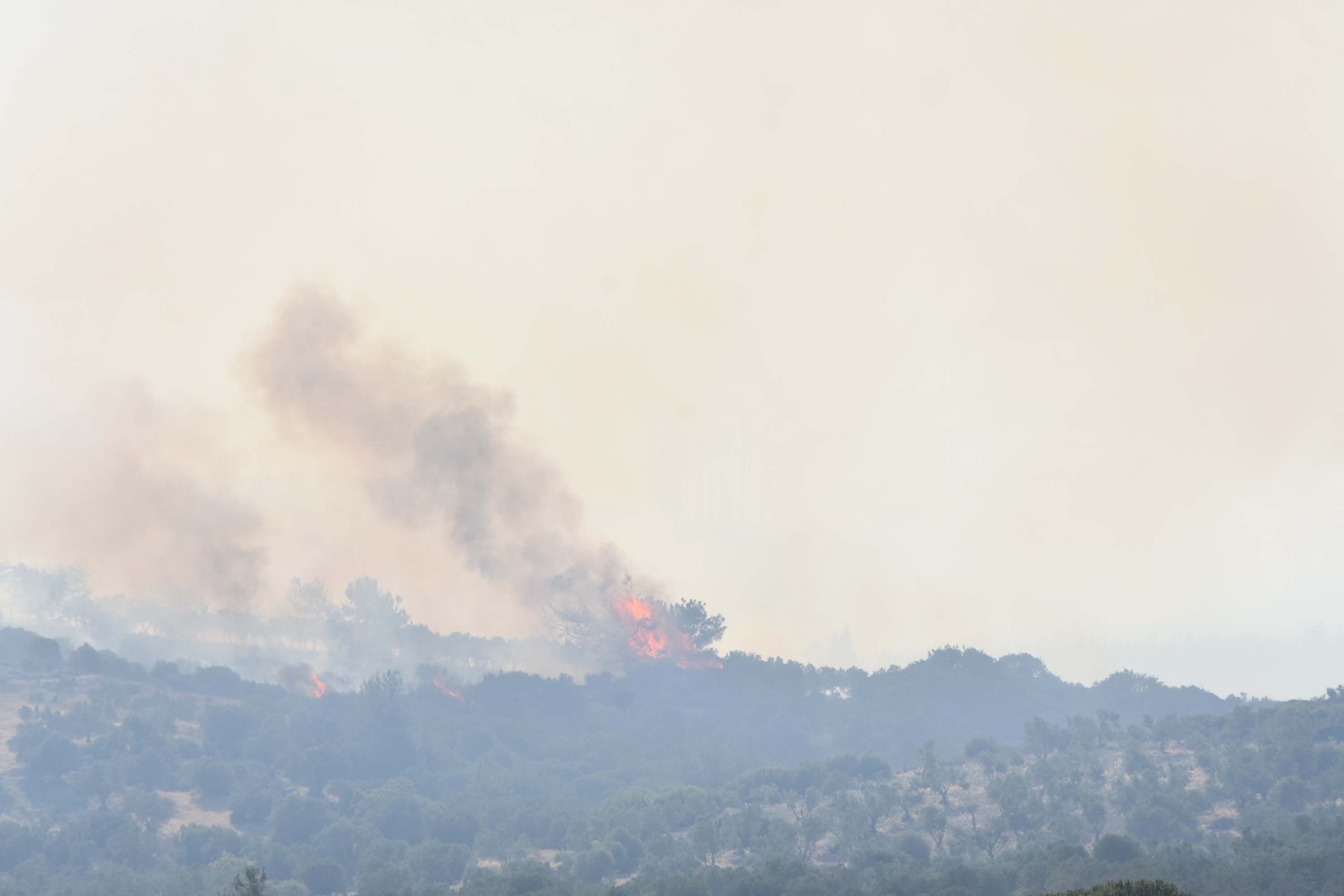 Aliağa ve Foça’da yangınla mücadele sürüyor