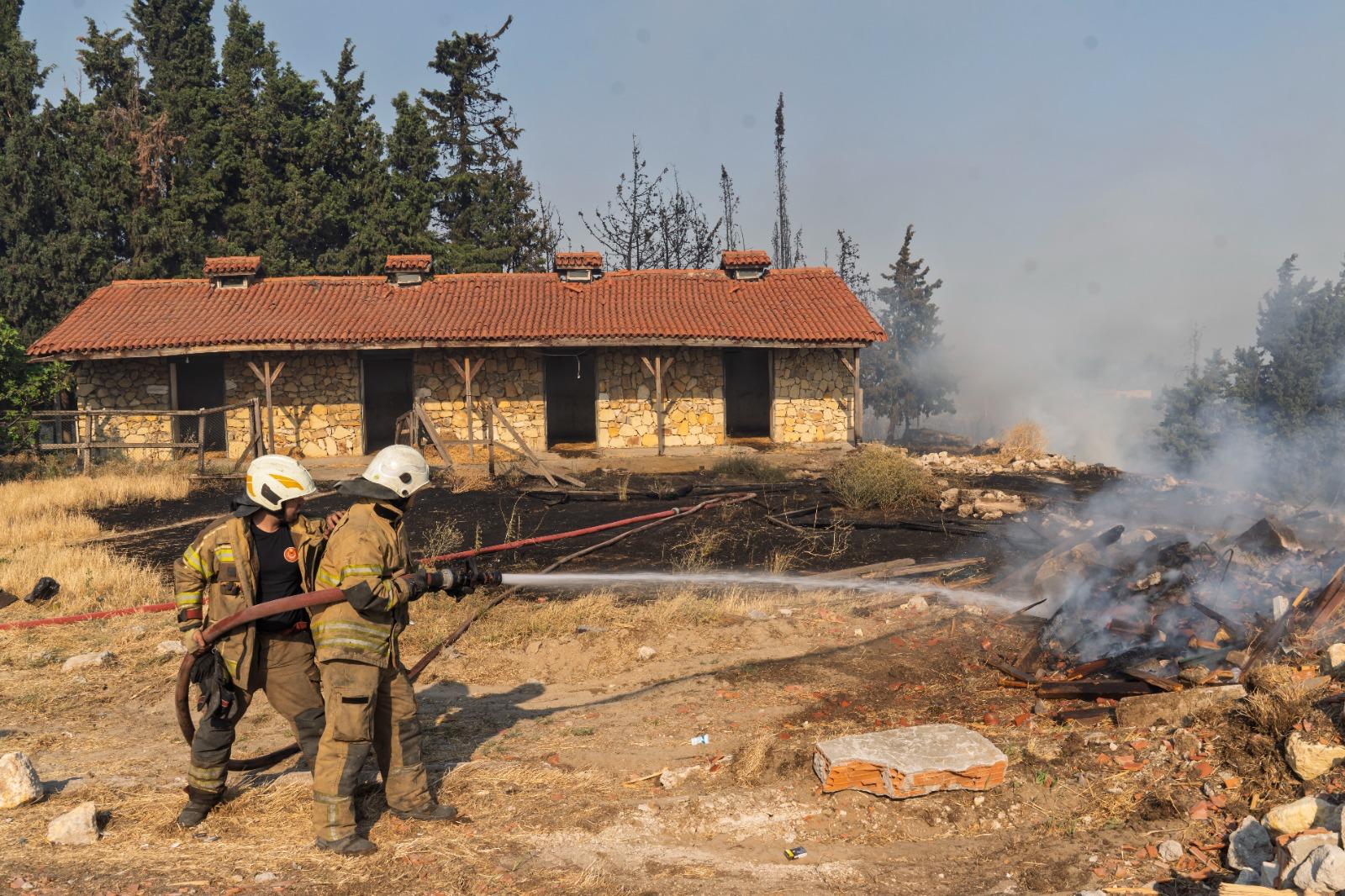 Aliağa ve Foça’da yangınla mücadele sürüyor
