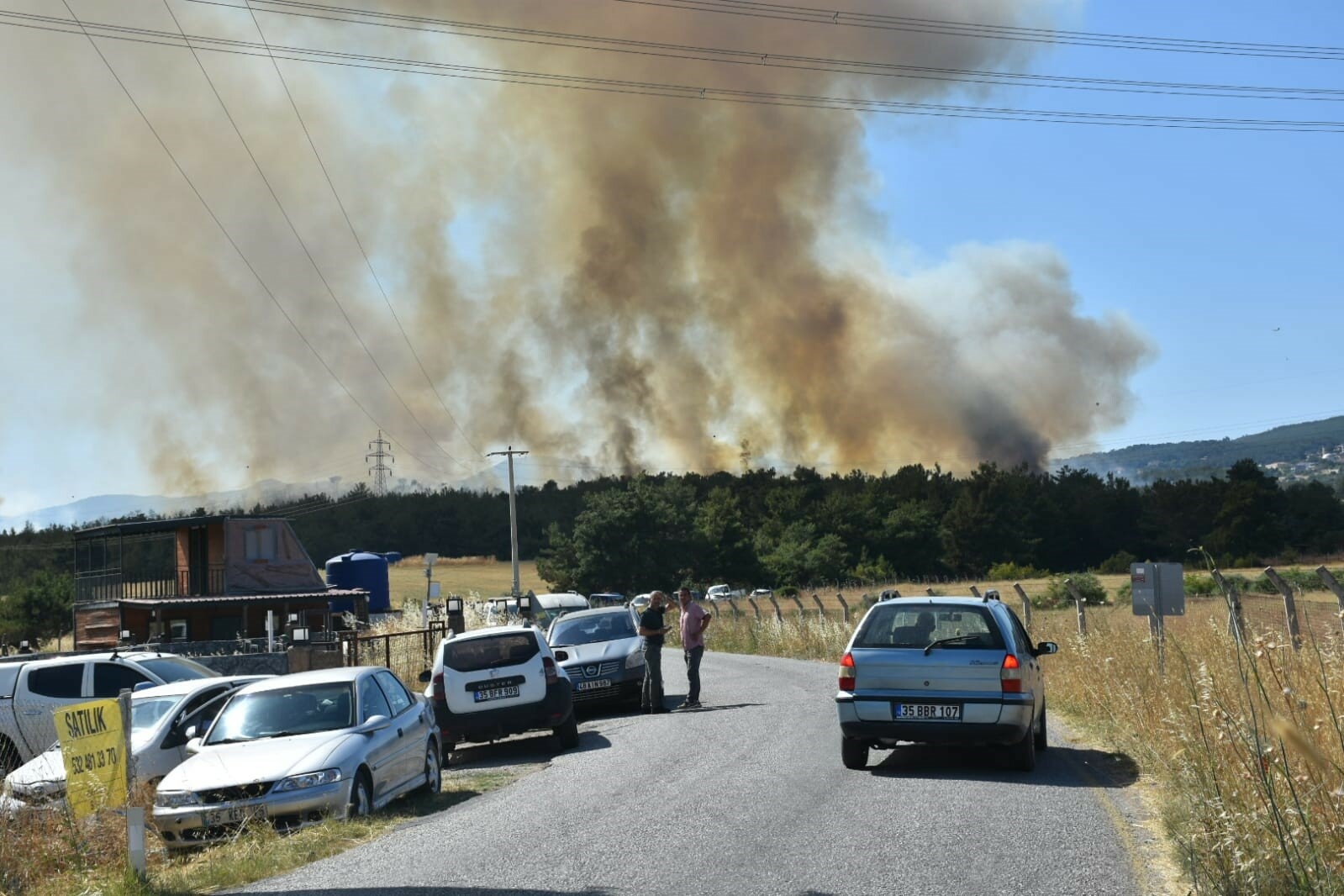 Bornova'da orman yangını!
