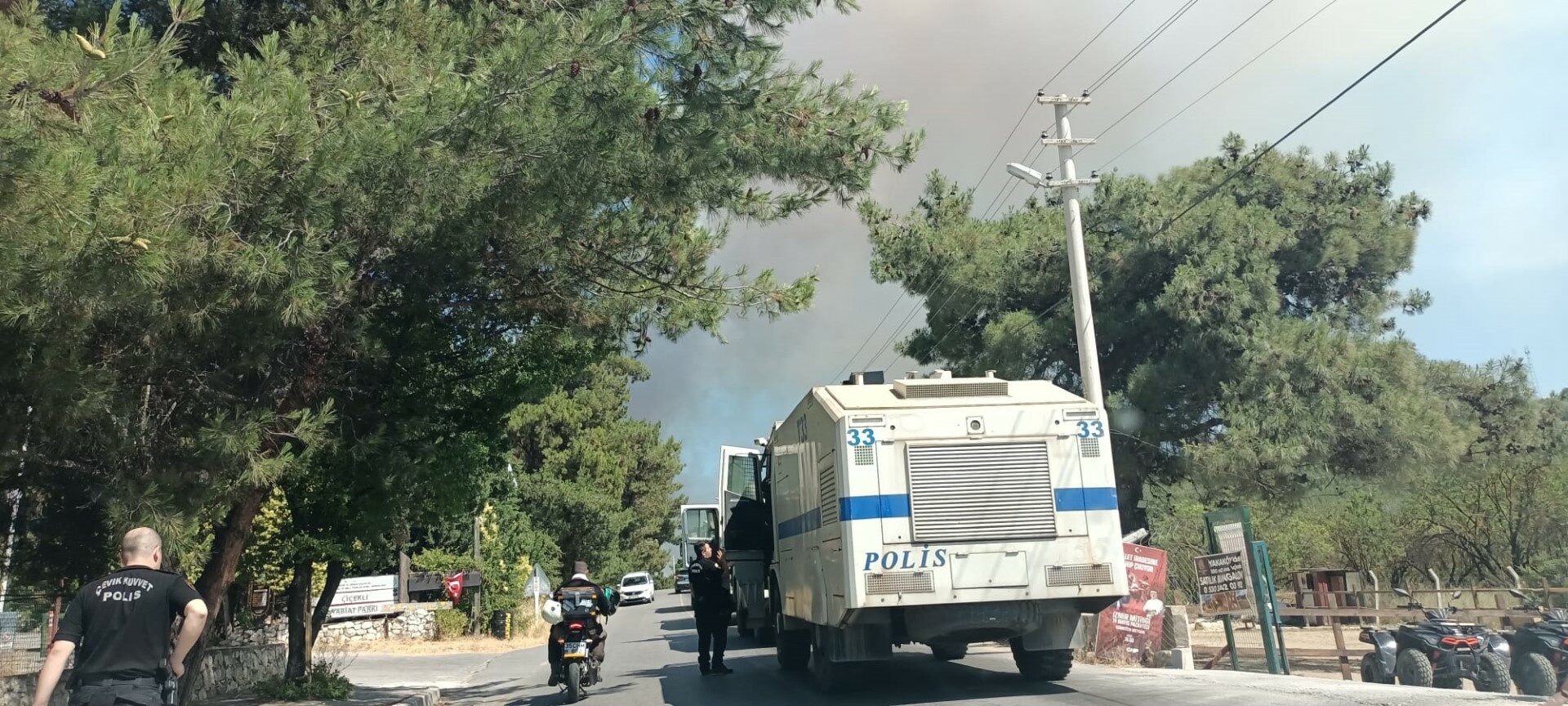 Bornova'da orman yangını!