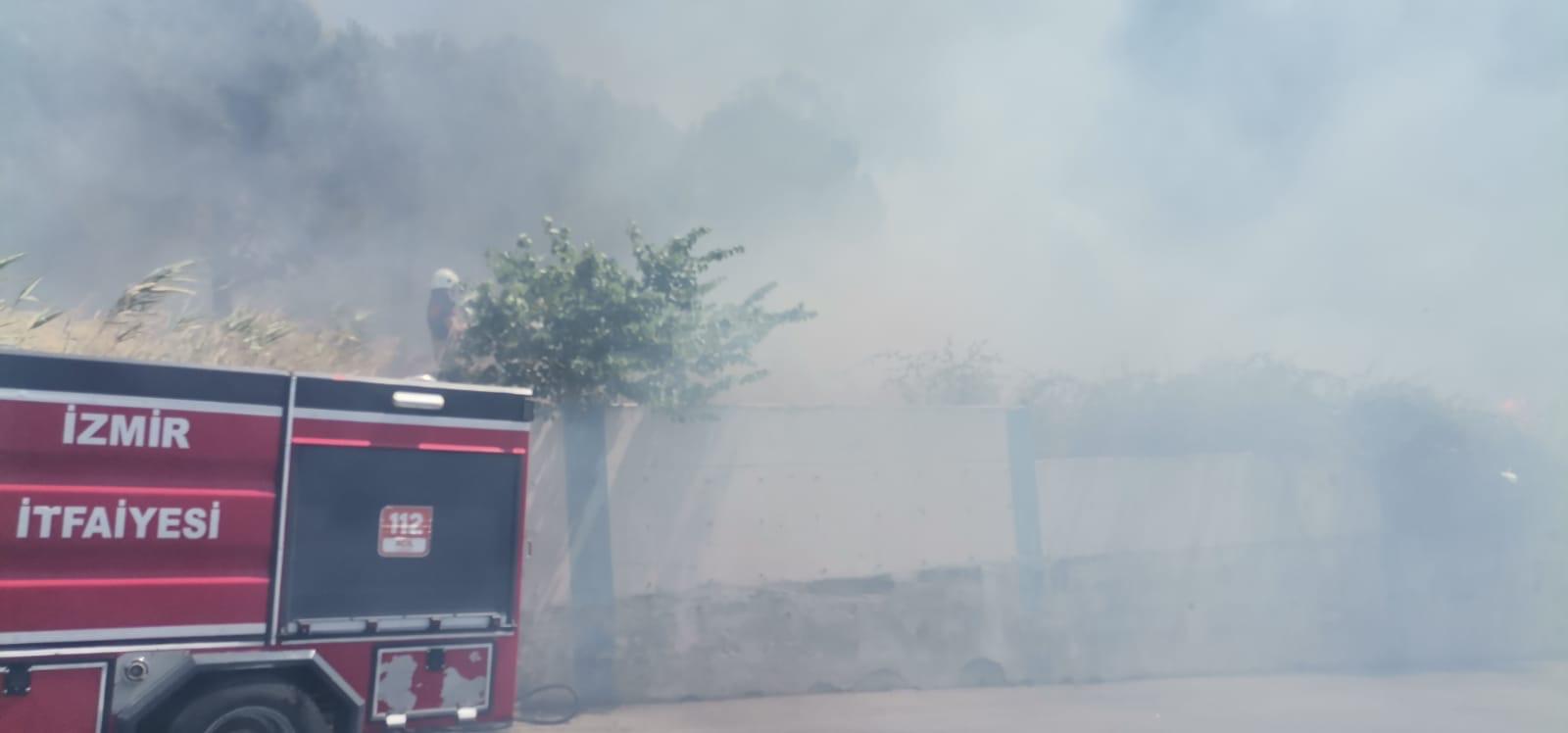 İzmir'de 2 ayrı noktada orman yangını 