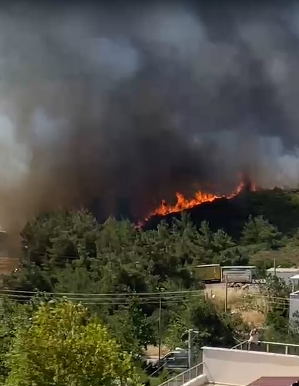 İzmir'de 2 ayrı noktada orman yangını 