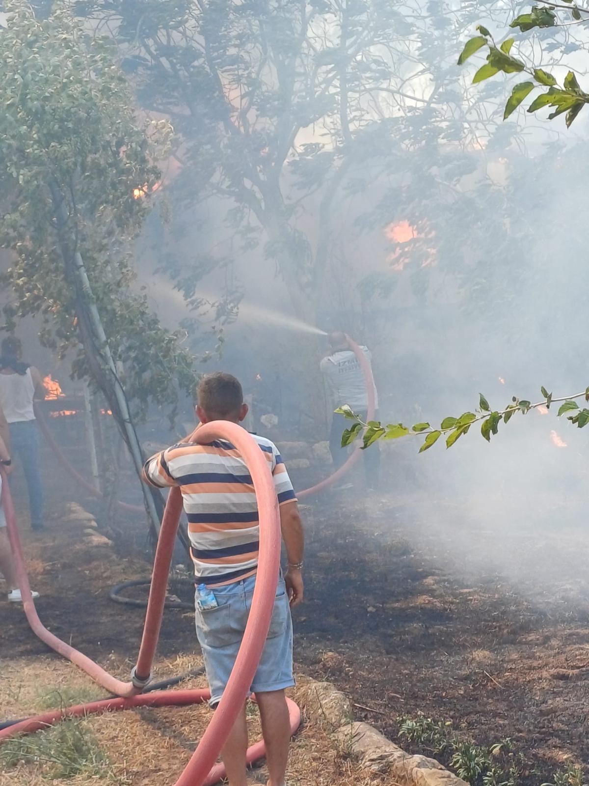 İzmir'de 2 ayrı noktada orman yangını 