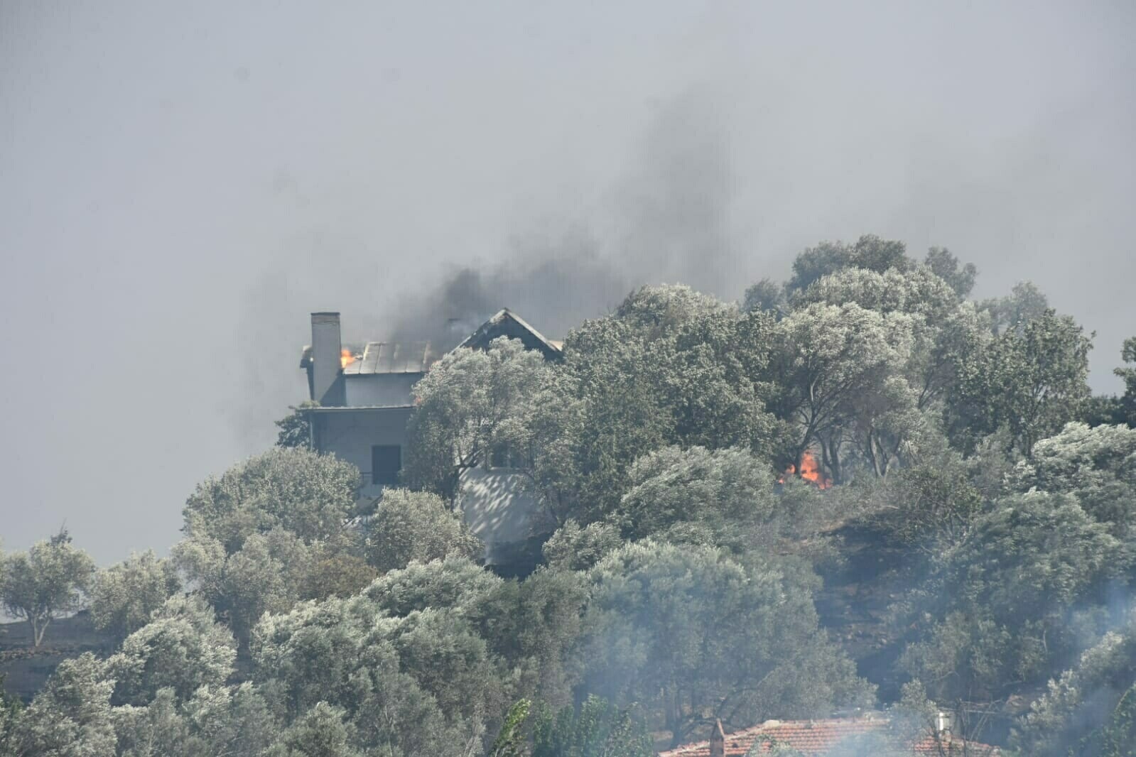 İzmir'de 2 ayrı noktada orman yangını 