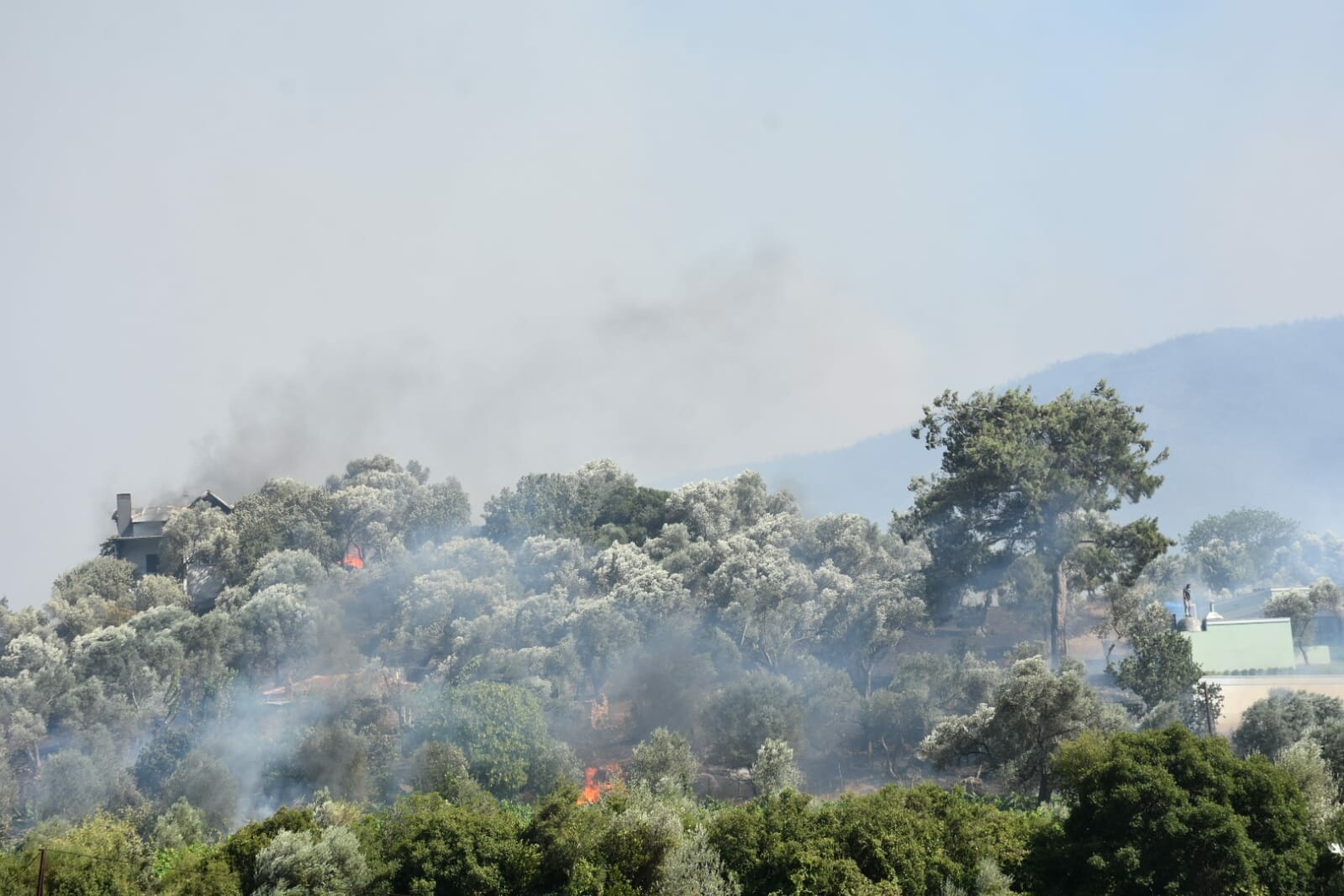 İzmir'de 2 ayrı noktada orman yangını 