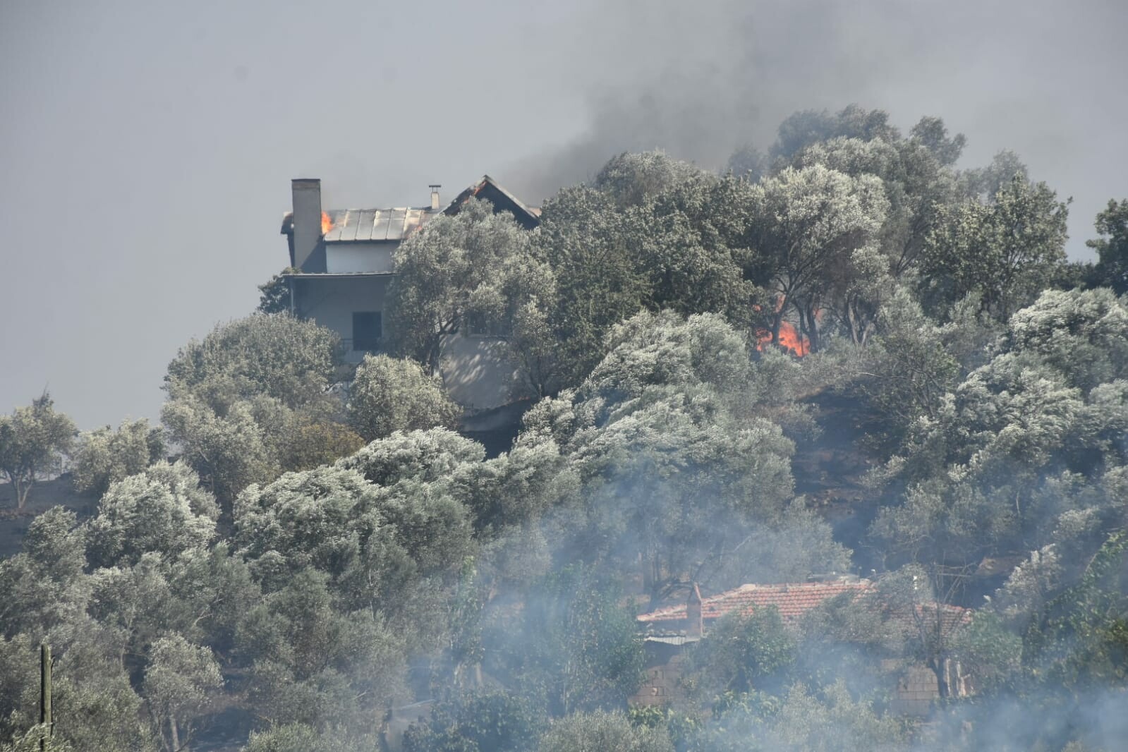 İzmir'de 2 ayrı noktada orman yangını 