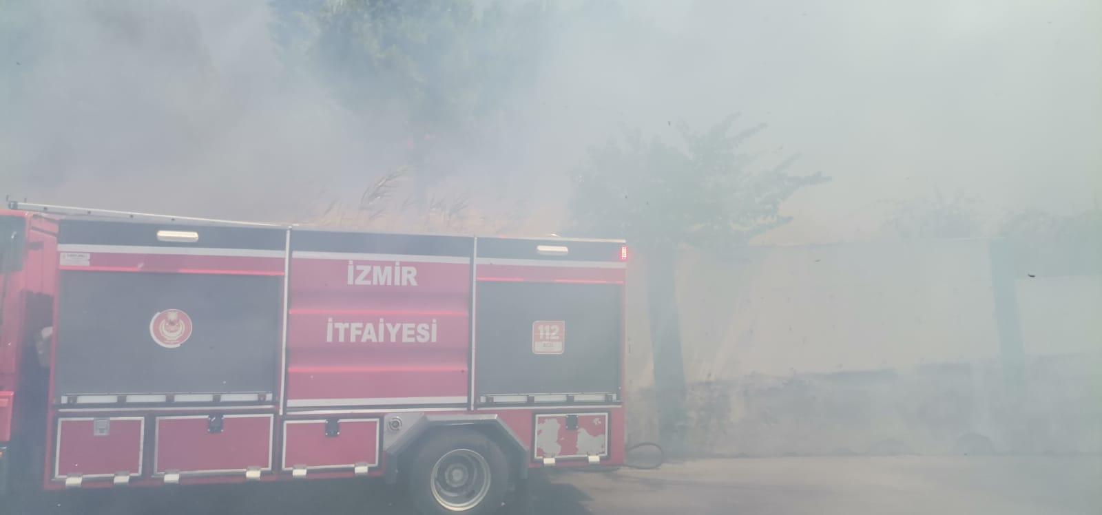 İzmir'de 2 ayrı noktada orman yangını 