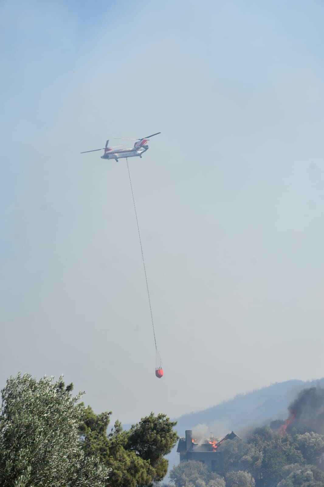 İzmir'de 2 ayrı noktada orman yangını 