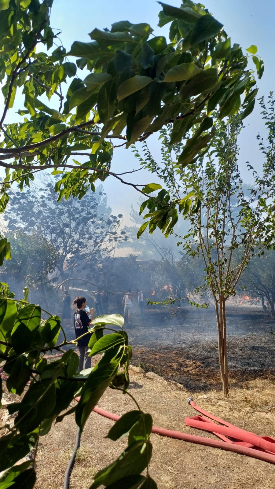 İzmir'de 2 ayrı noktada orman yangını 