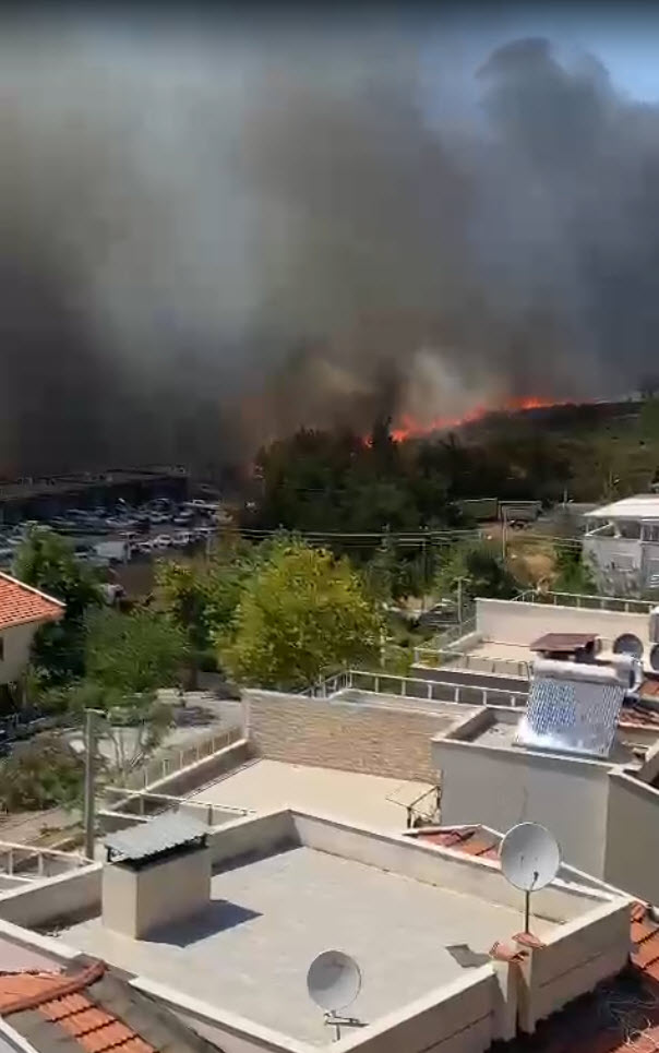 İzmir'de 2 ayrı noktada orman yangını 