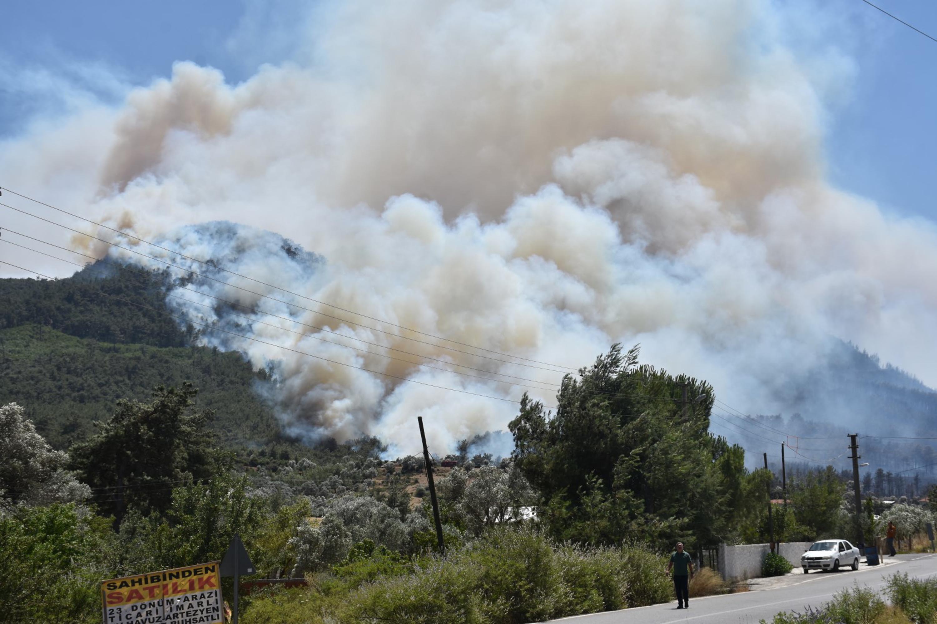 İzmir'de 2 ayrı noktada orman yangını 