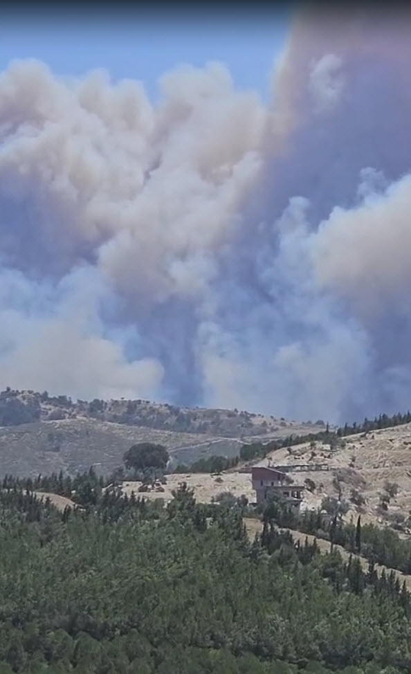 İzmir'de 2 ayrı noktada orman yangını 