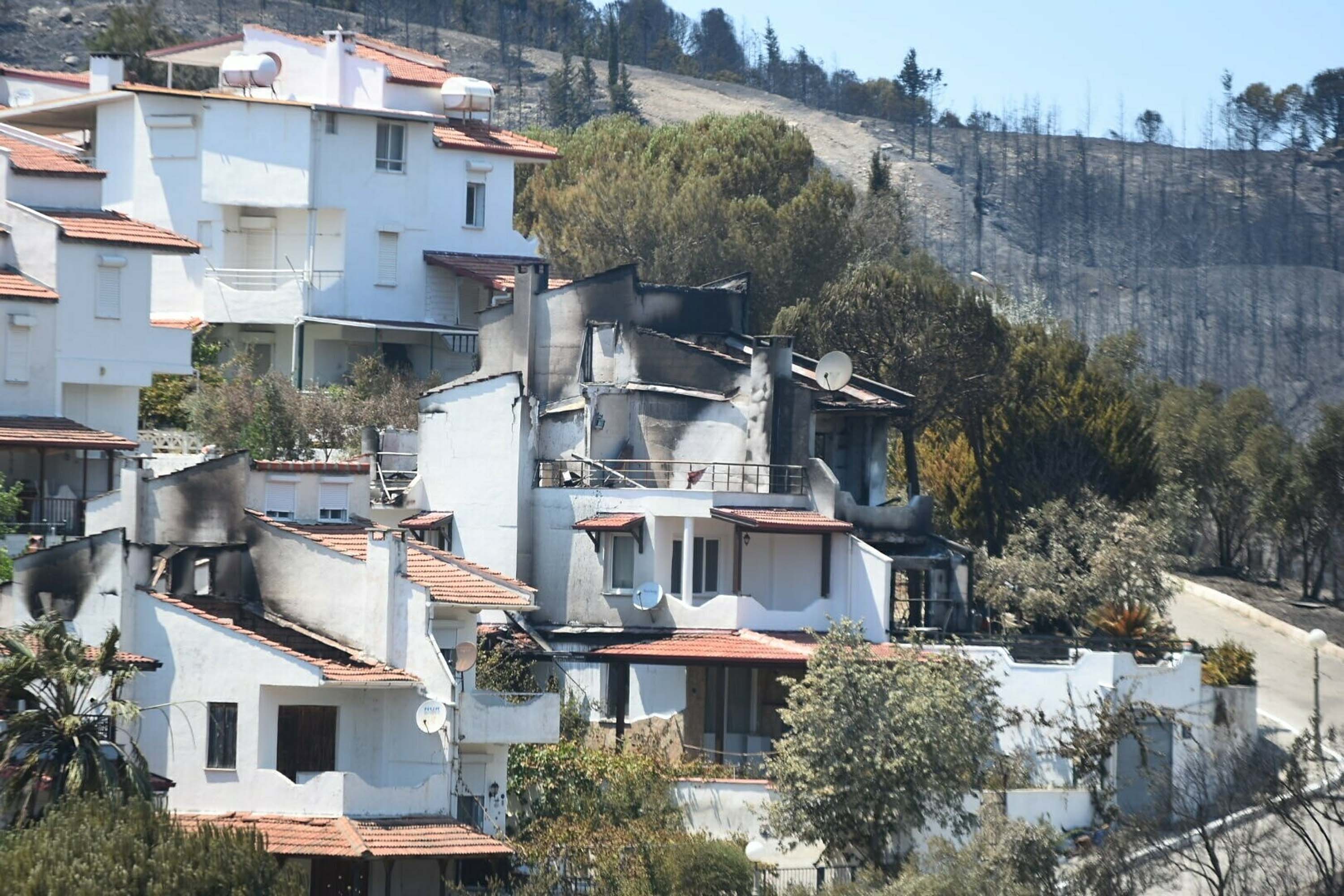 Seferihisar Doğanbey’de yerleşim yerleri yandı!