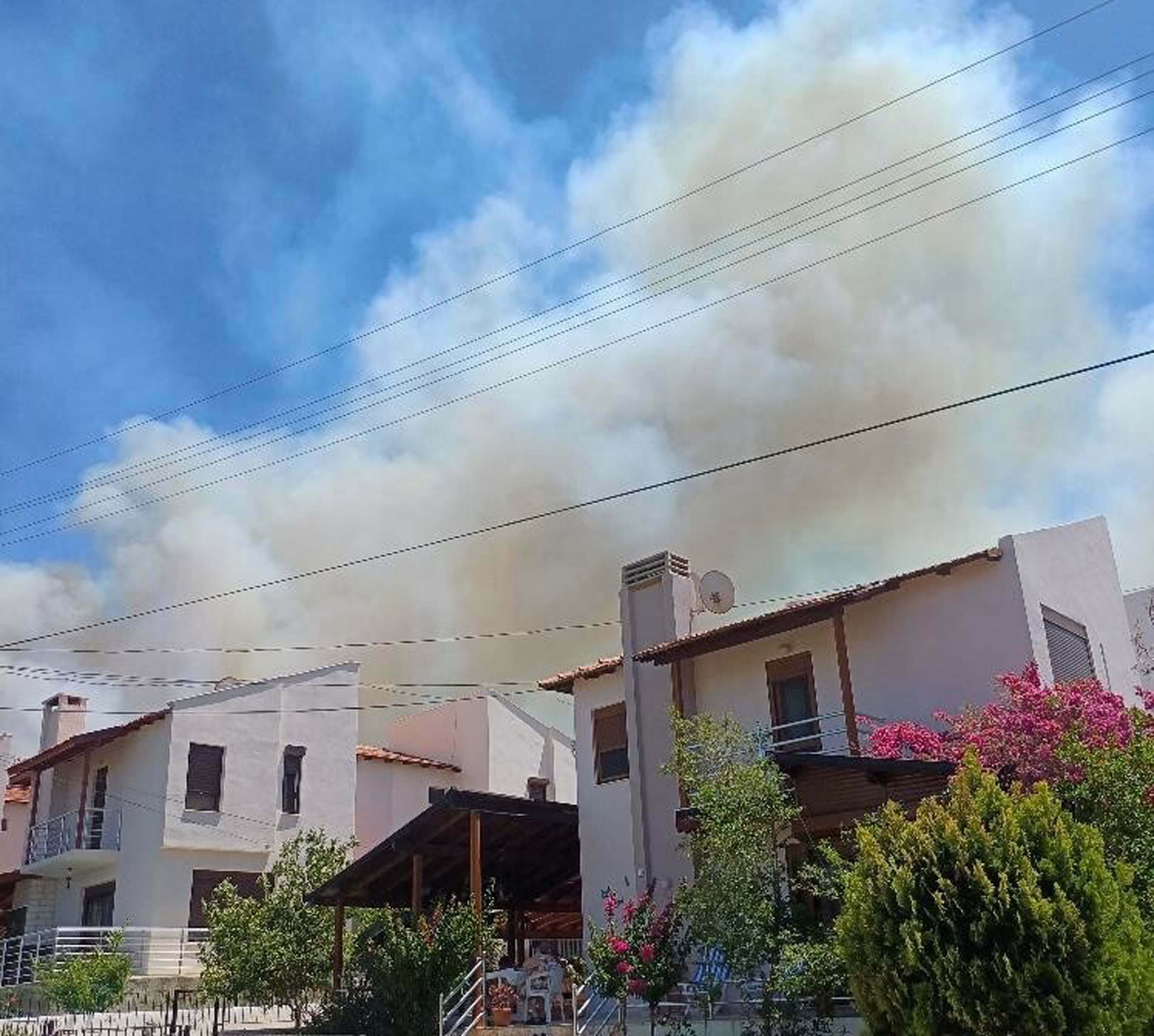 Çeşme'de orman yangını 