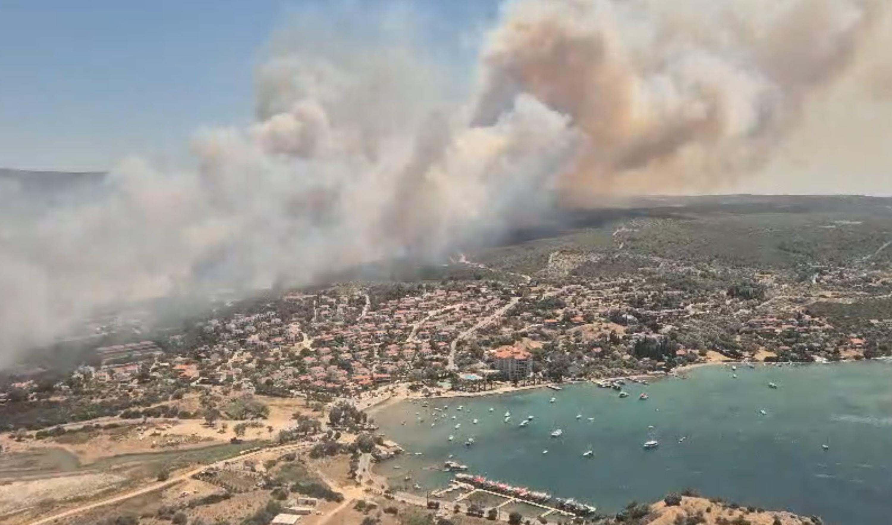 Çeşme'de orman yangını 