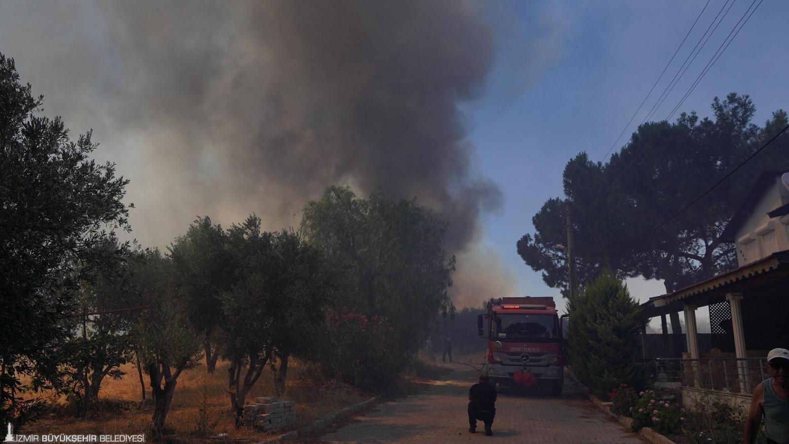Çeşme'de orman yangını 